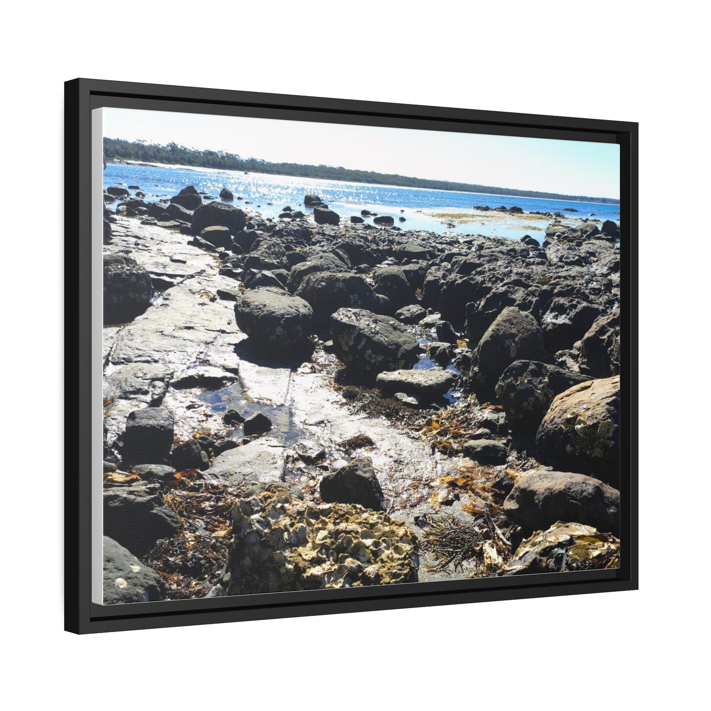 South Coast (framed canvas)