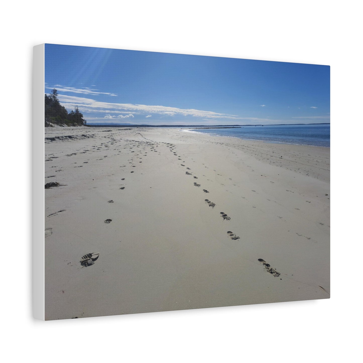 Footprint in the Sand (canvas)