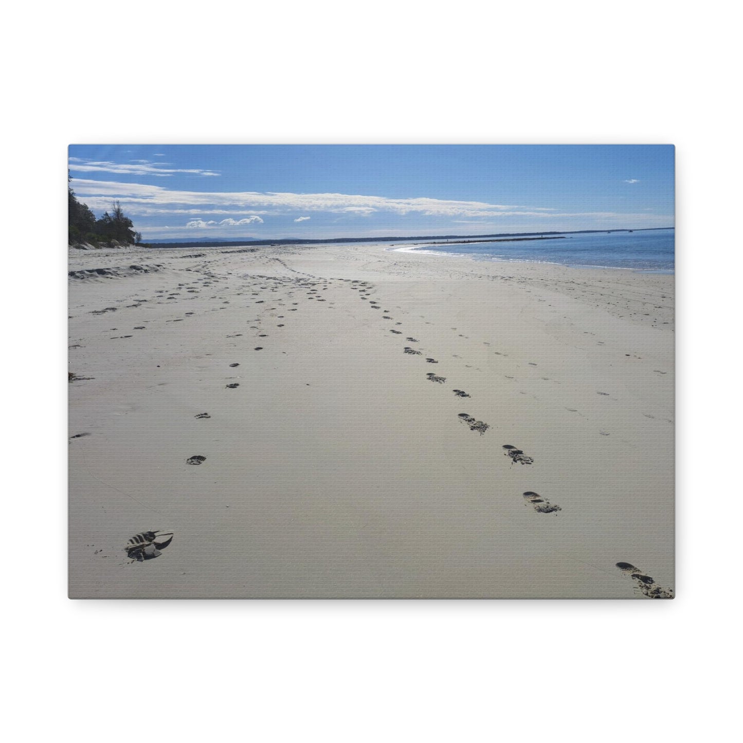 Footprints (canvas)