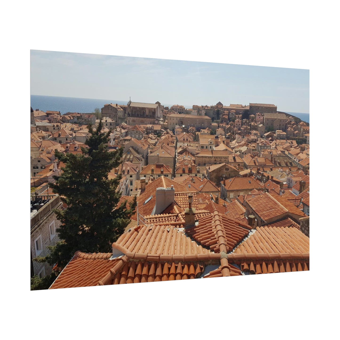 Roofs (print)