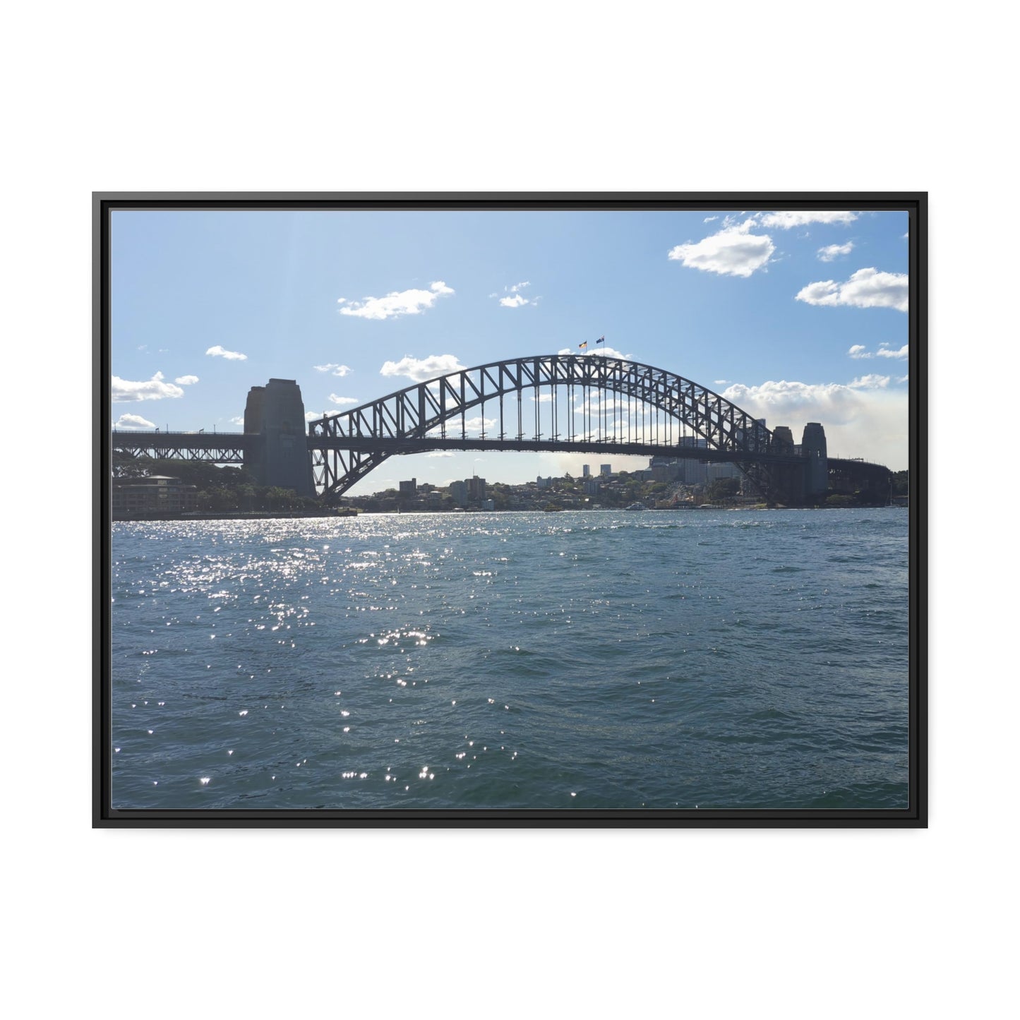 Sydney Harbour (framed canvas)