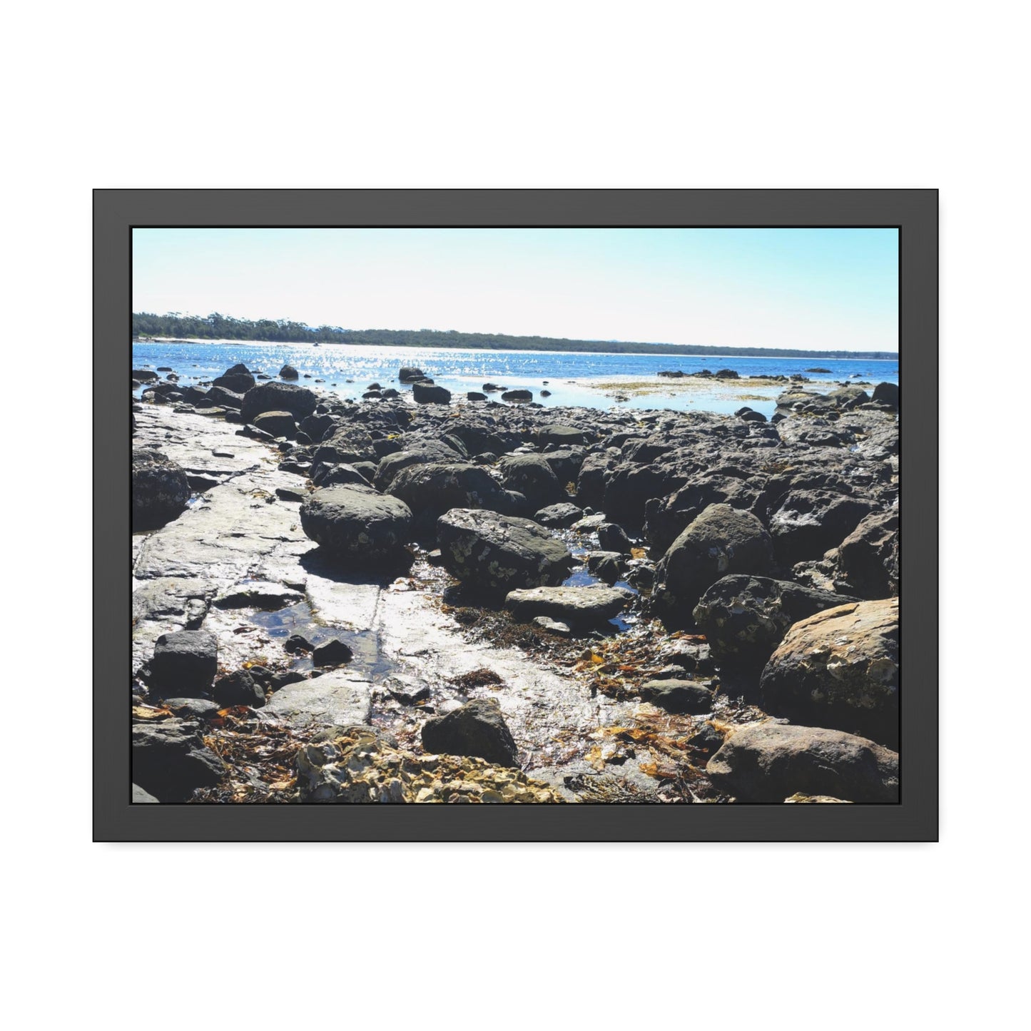 South Coast (framed print)