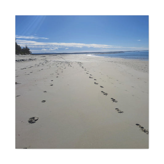 Footprints (canvas)