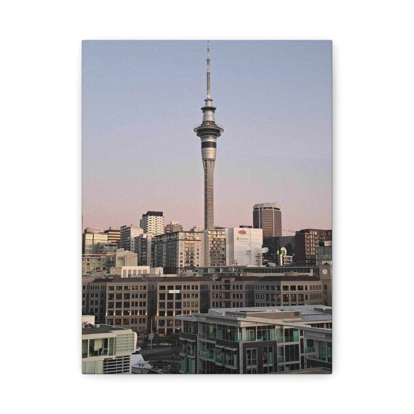 Auckland (canvas)