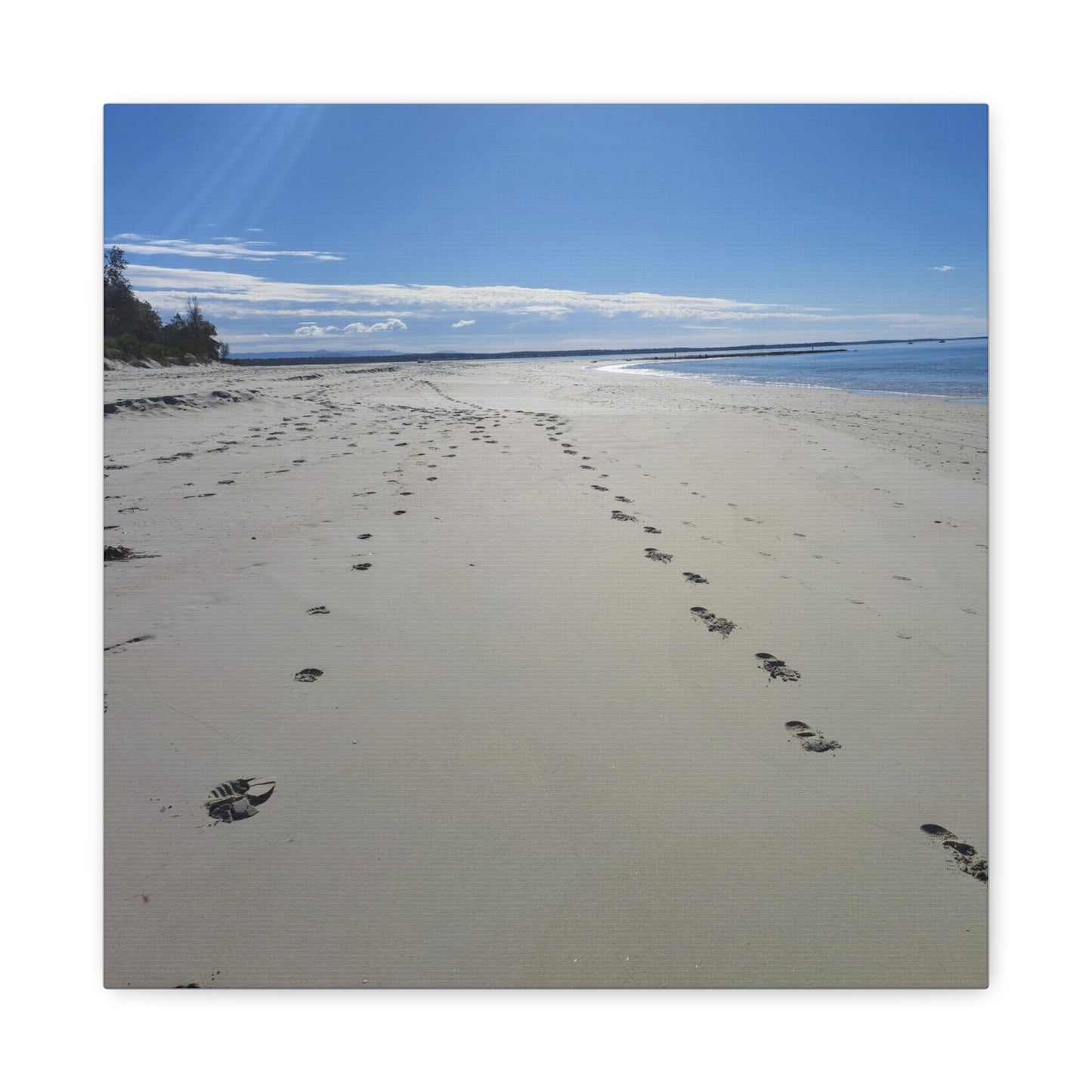 Footprints (canvas)