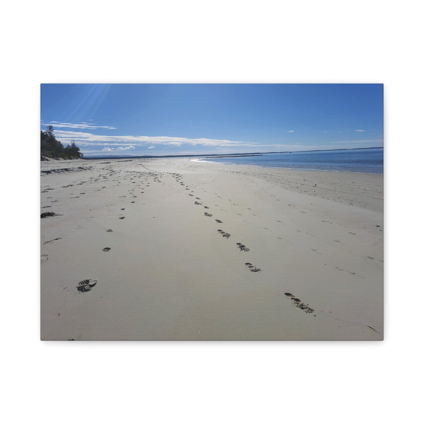 Footprint in the Sand (canvas)