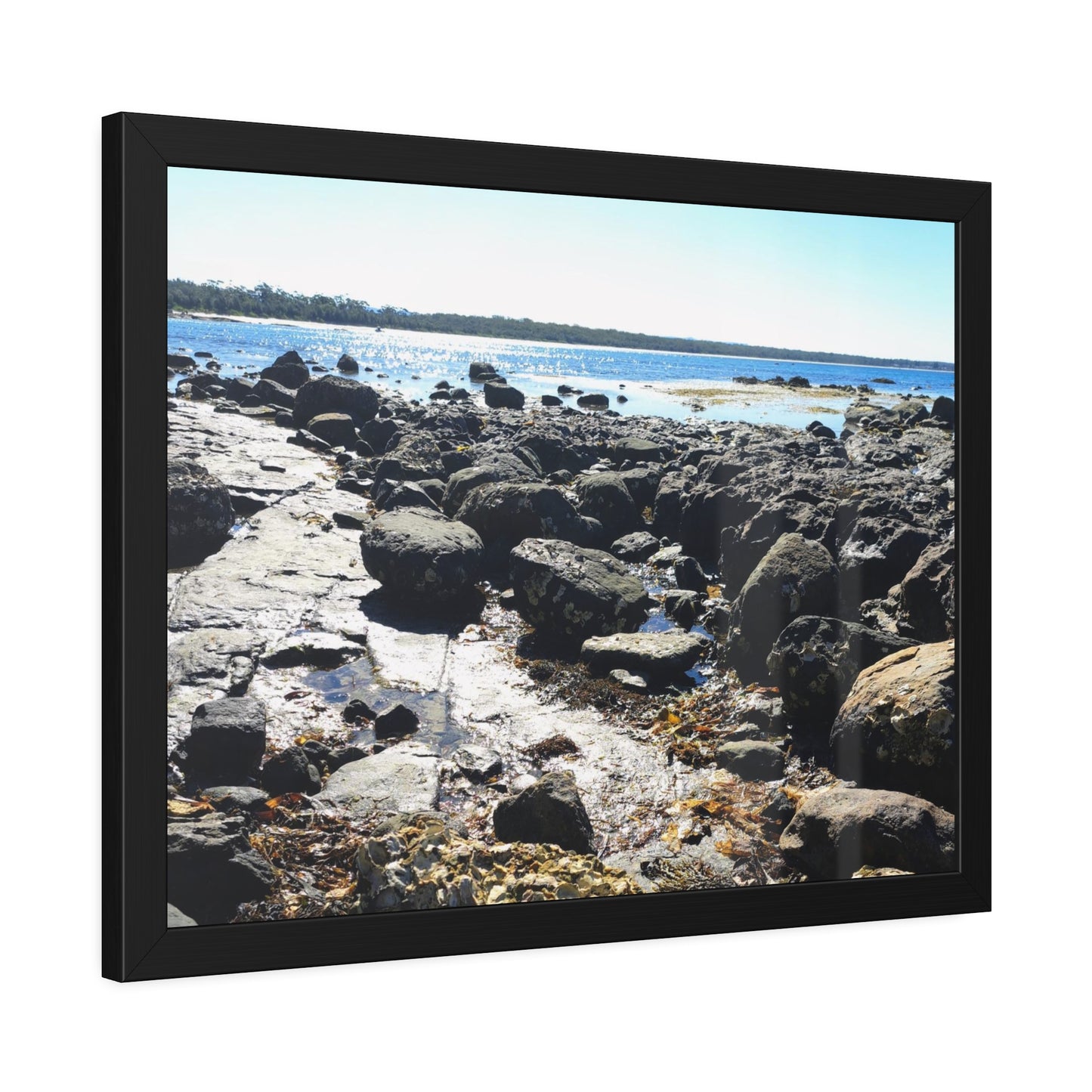 South Coast (framed print)