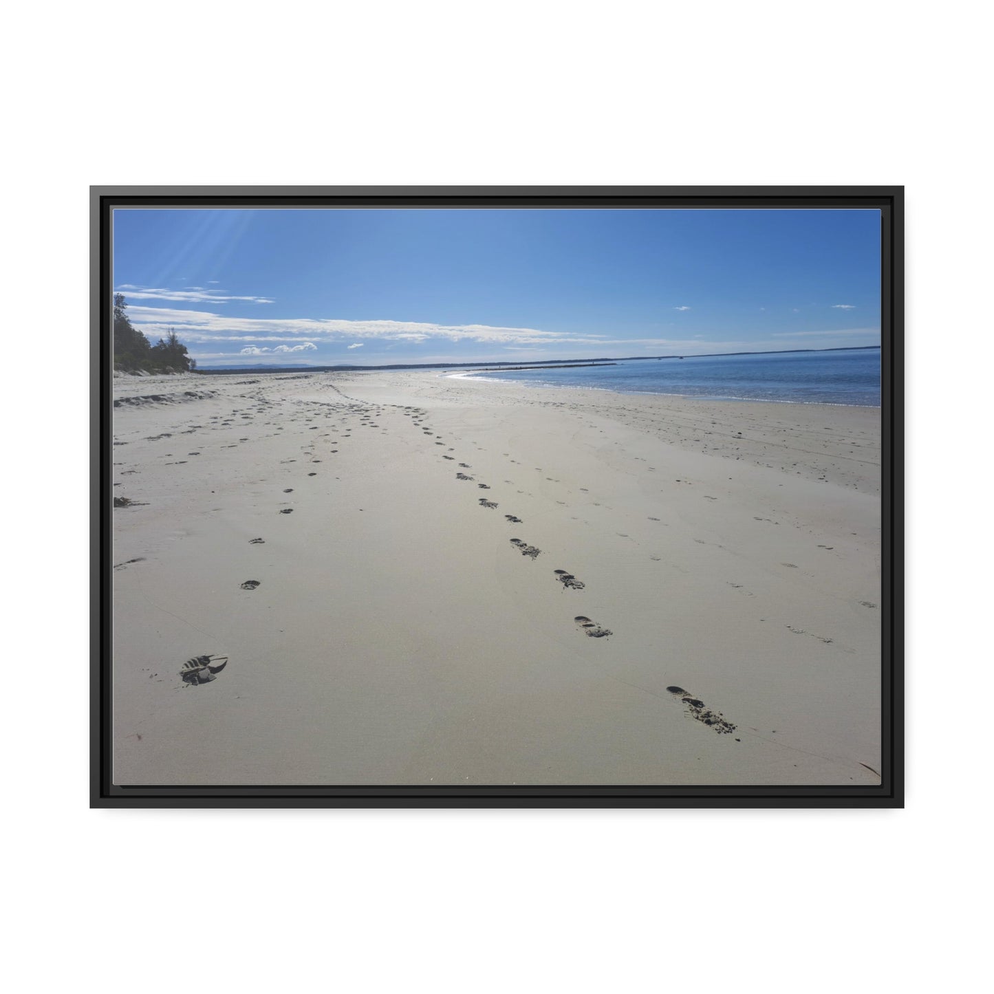 Footprints (framed canvas)