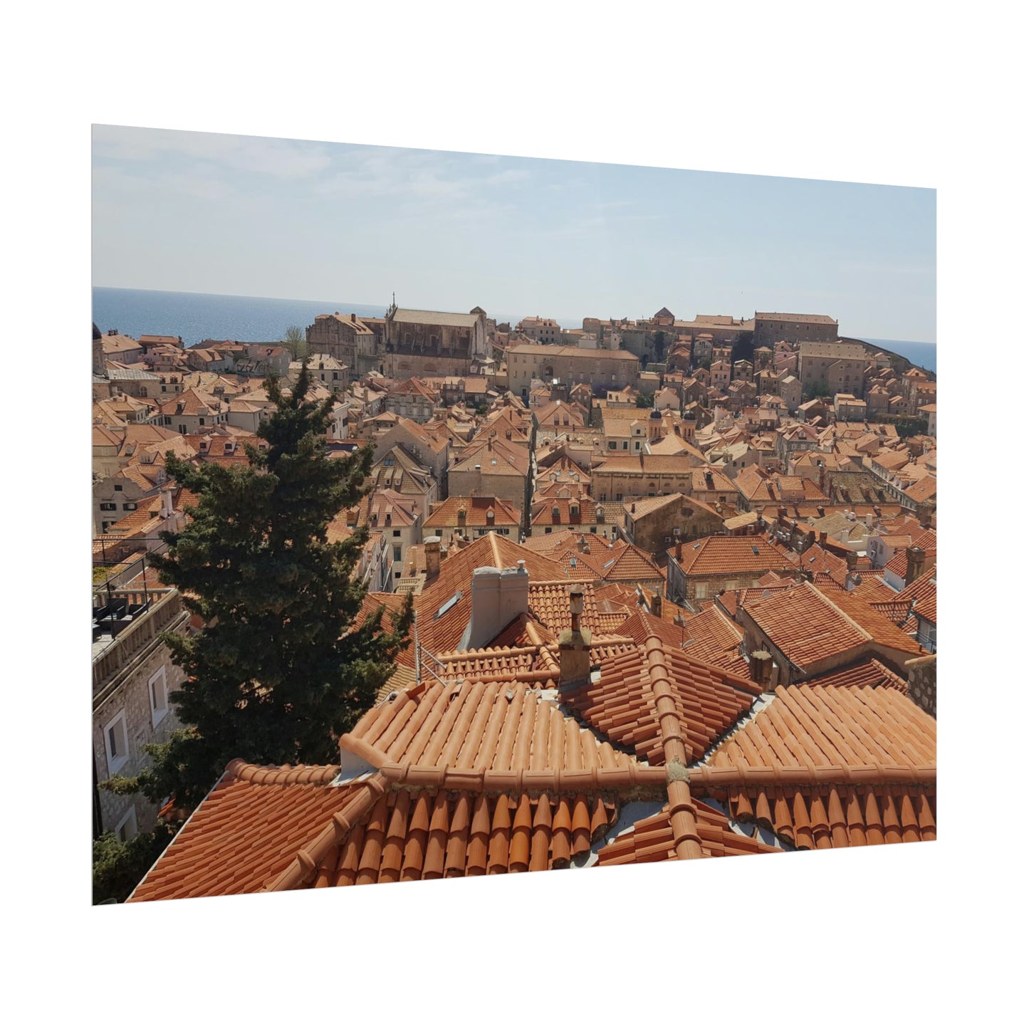 Roofs (print)