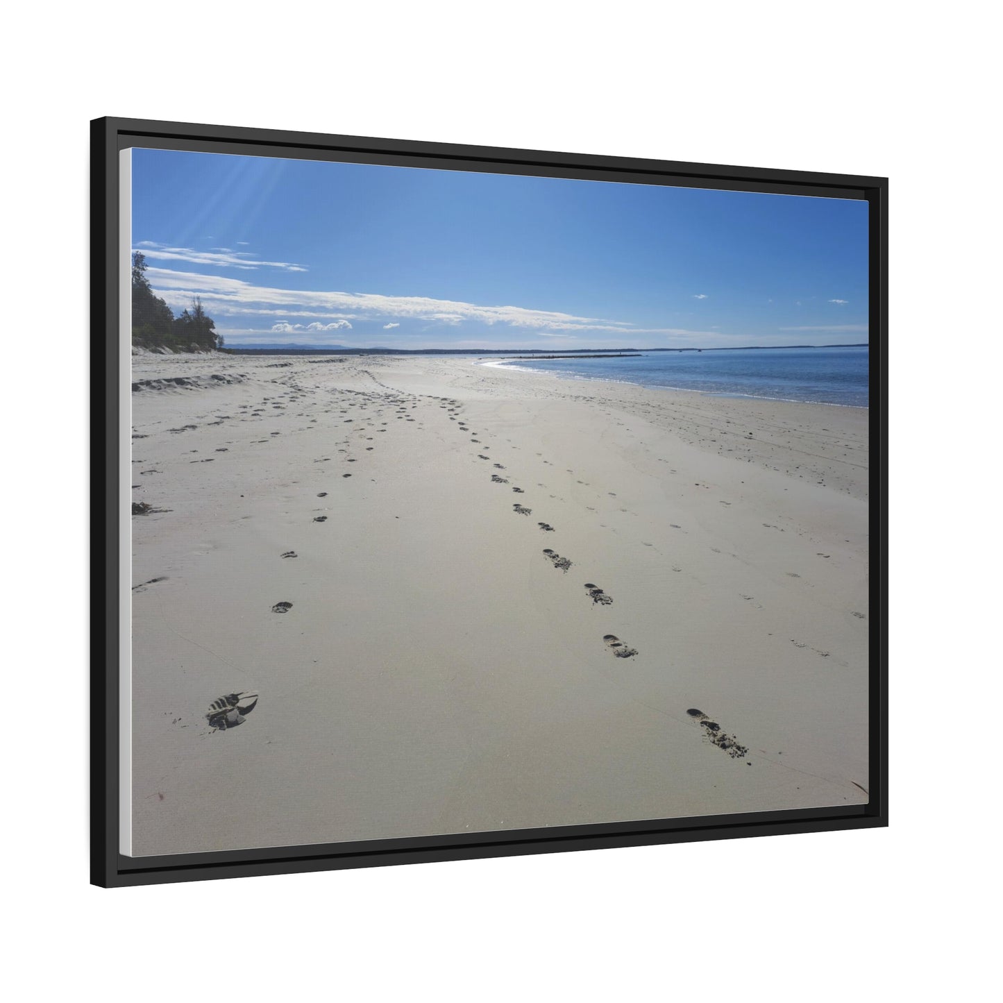 Footprints (framed canvas)