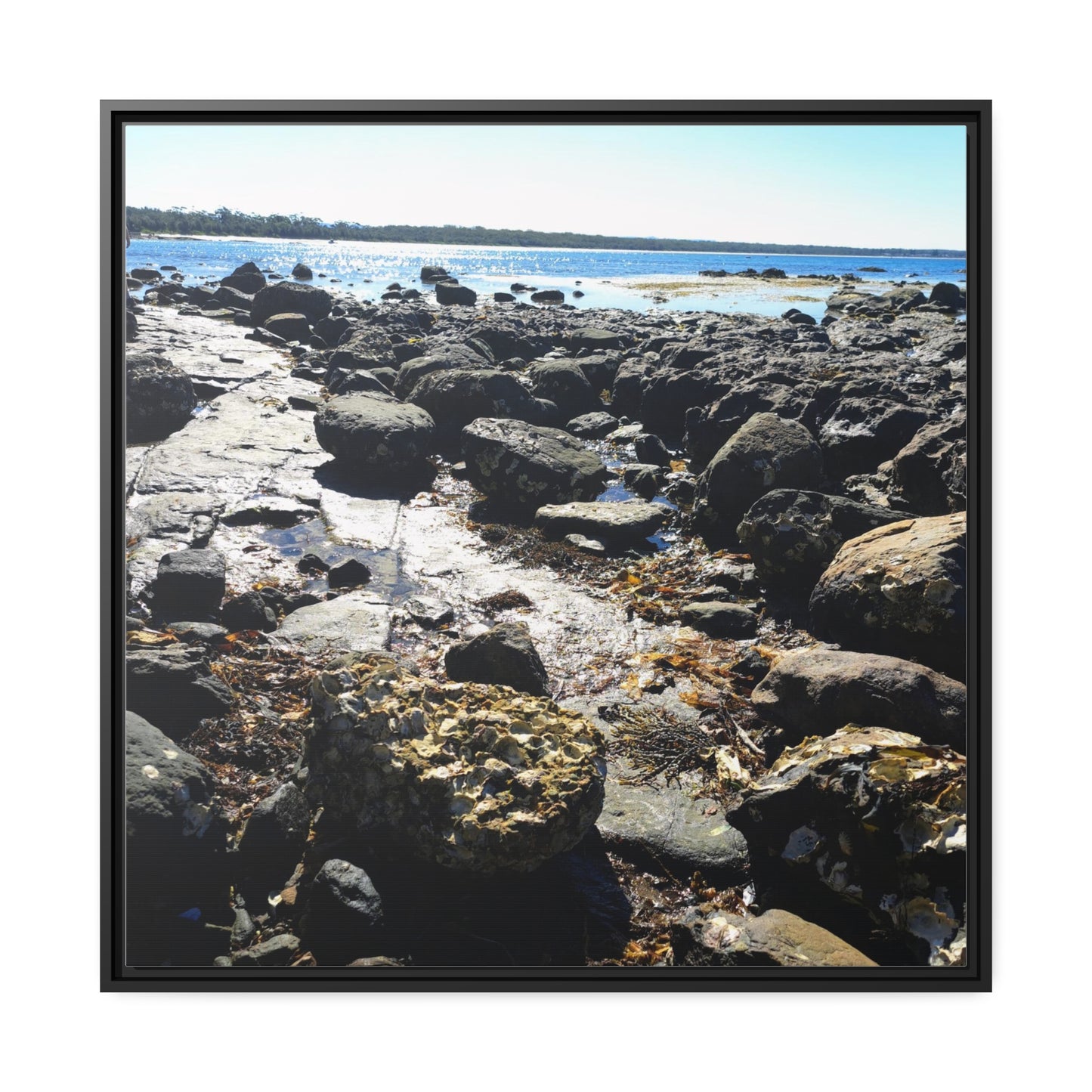 South Coast (framed canvas)