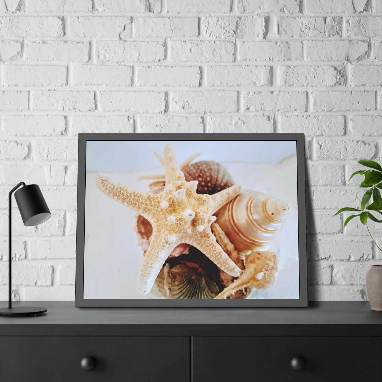 Shells 2 (framed print)