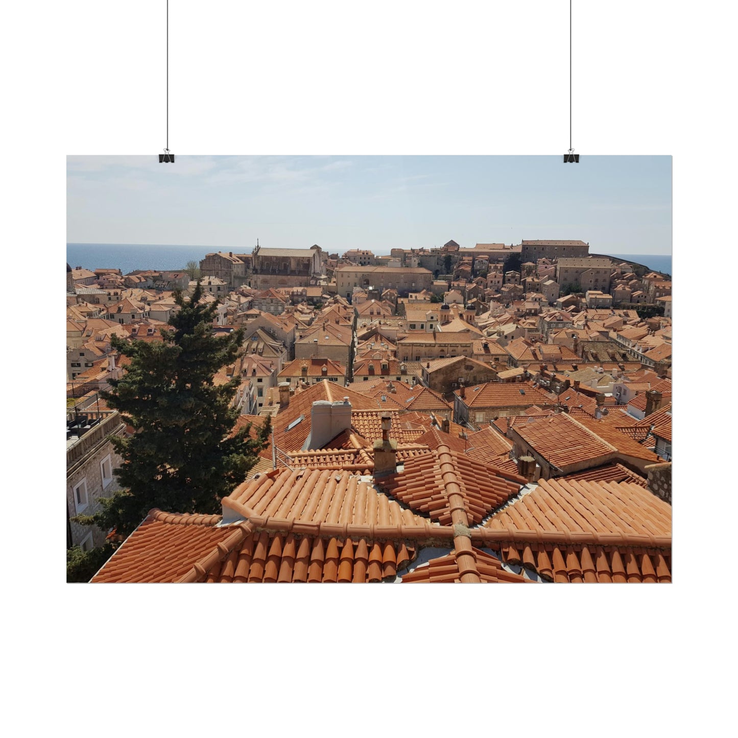 Roofs (print)