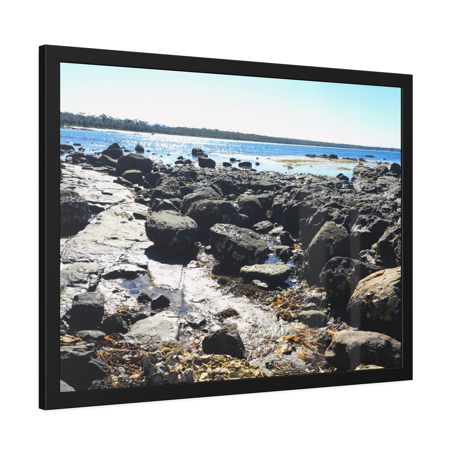 South Coast (framed print)