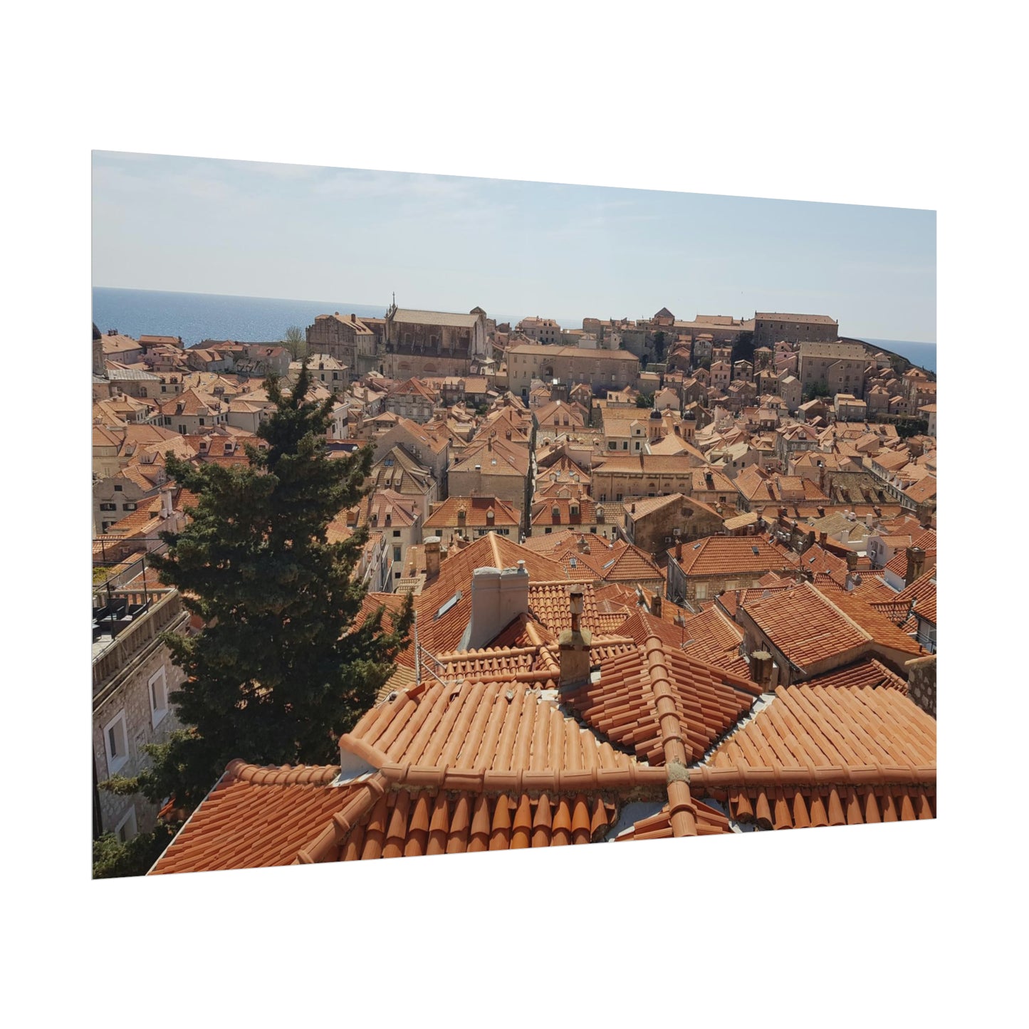 Roofs (print)