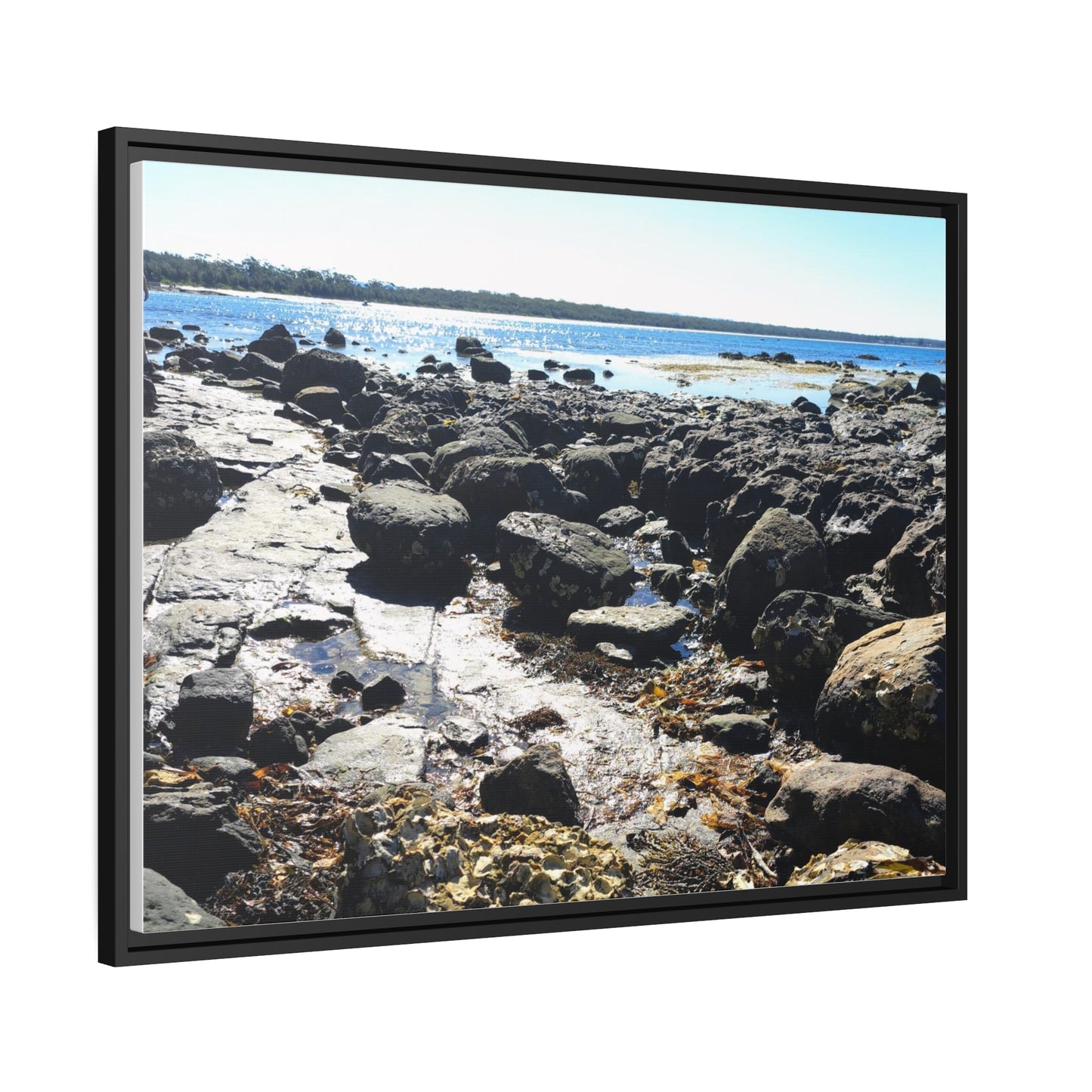 South Coast (framed canvas)