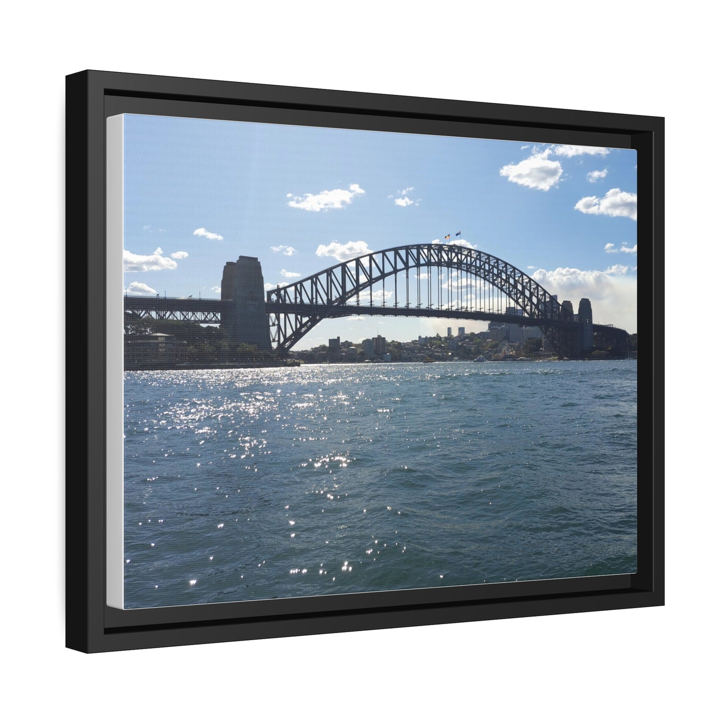 Sydney Harbour (framed canvas)