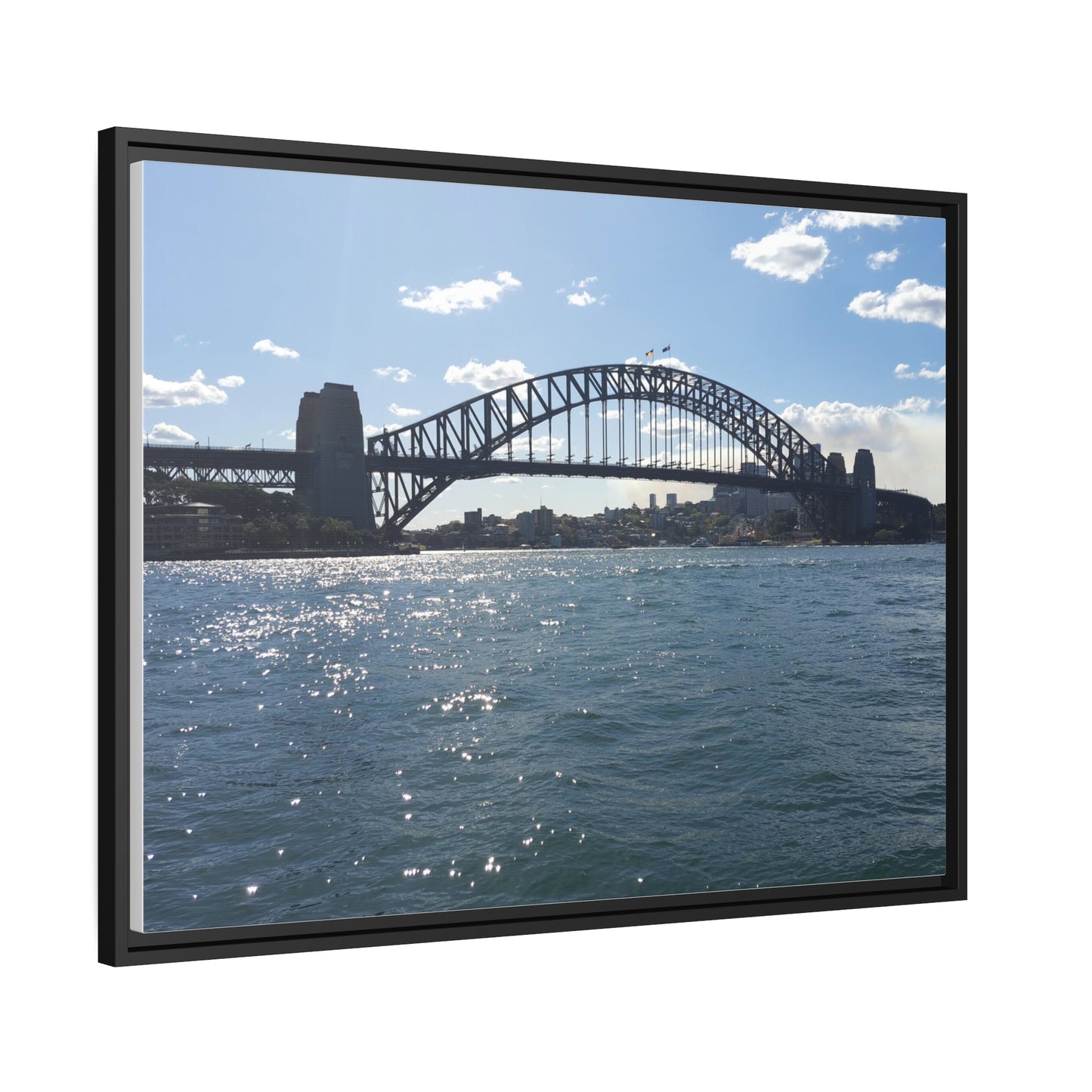 Sydney Harbour (framed canvas)