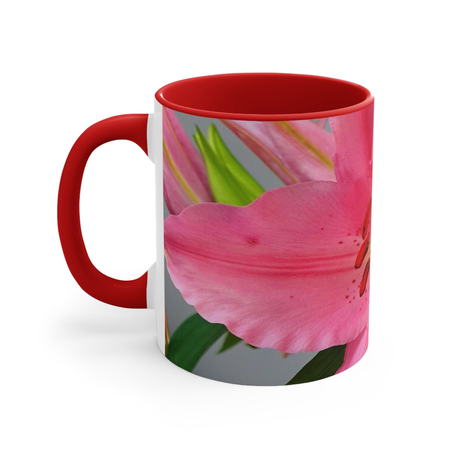 Colorful Accent Mugs, 11oz