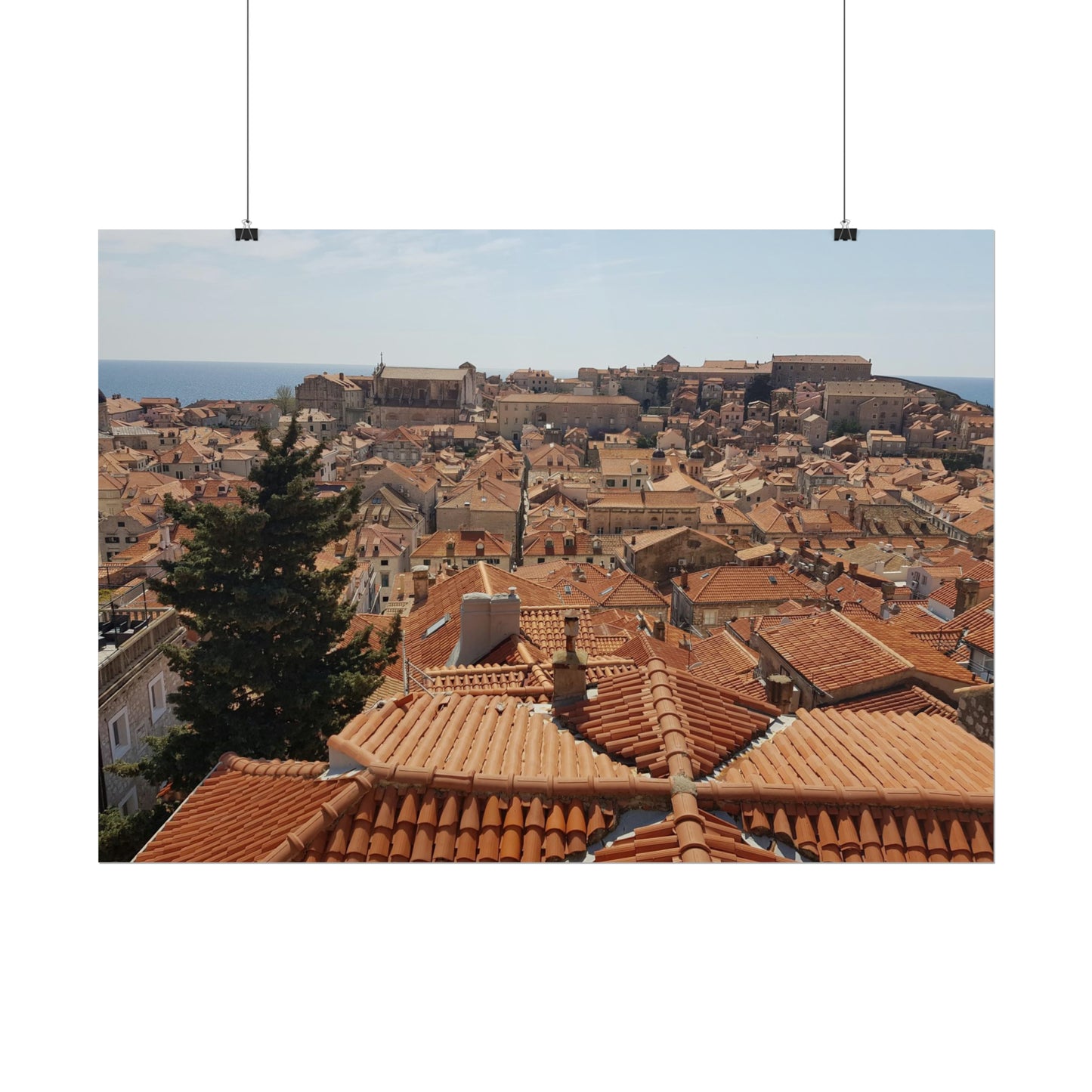 Roofs (print)