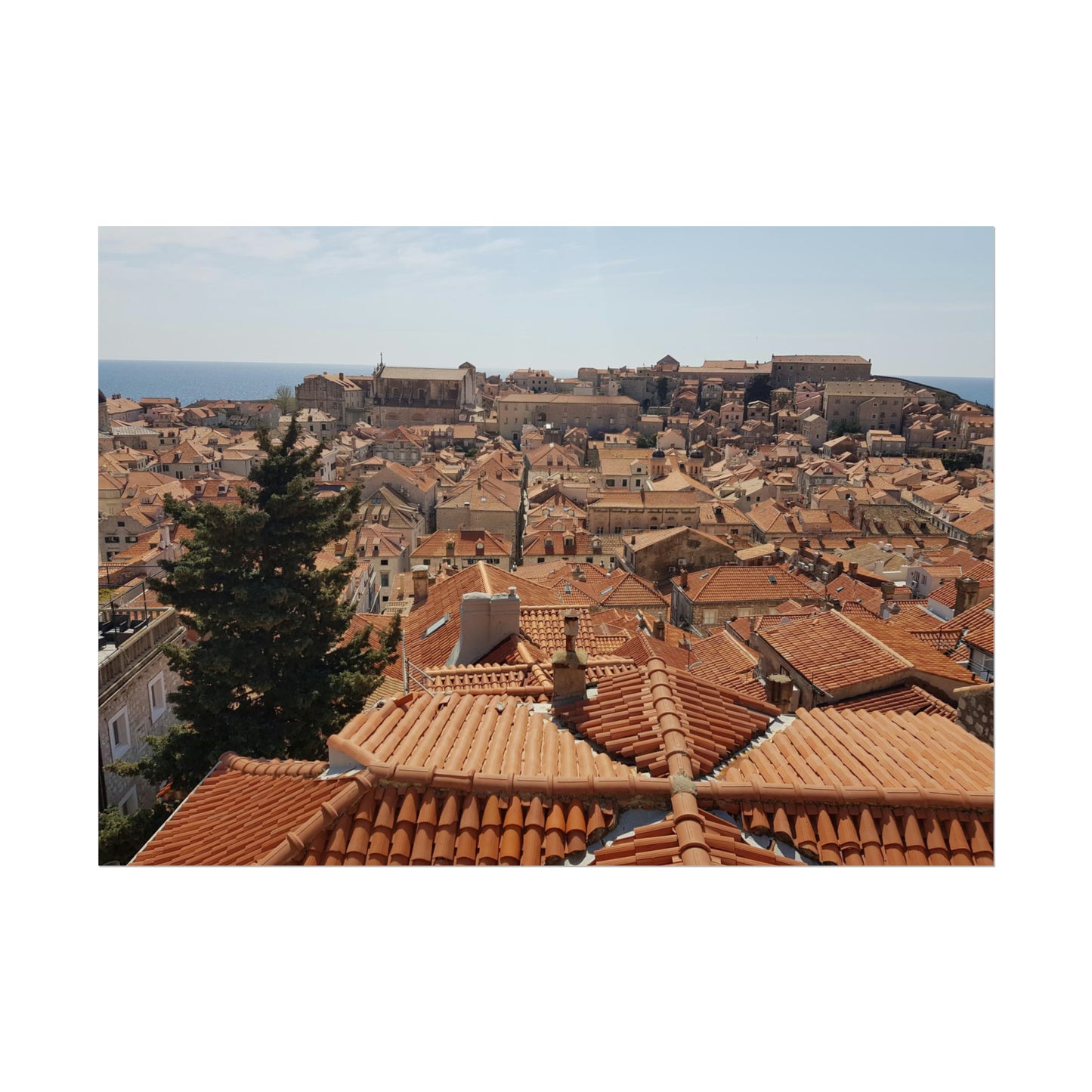 Roofs (print)