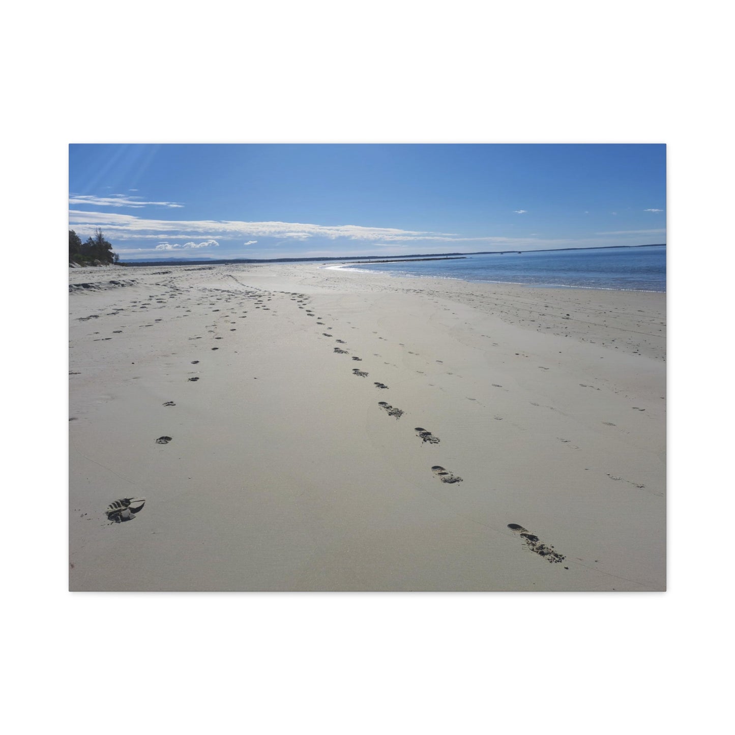 Footprint in the Sand (canvas)