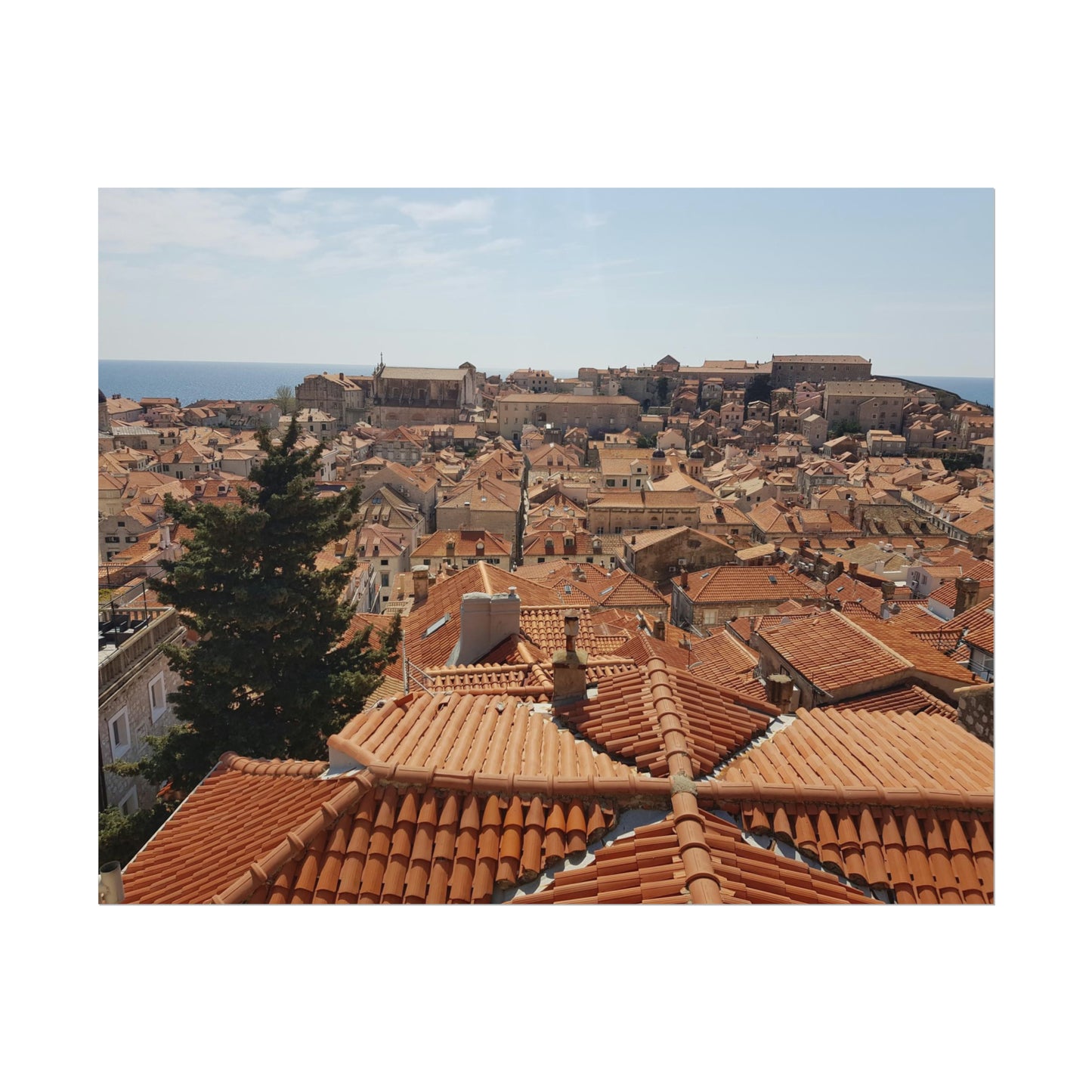 Roofs (print)