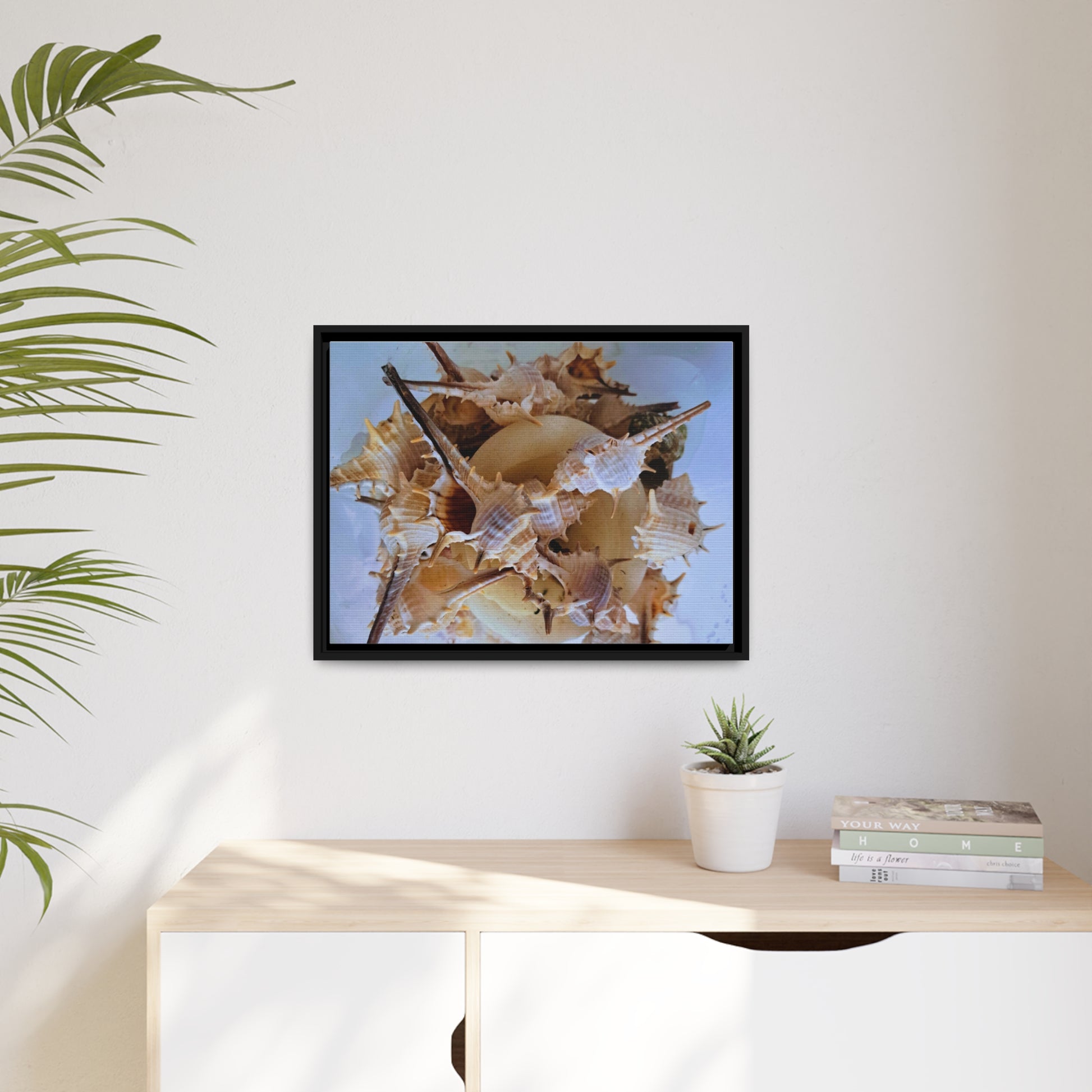 Shells (framed canvas) - Love Ya Wall Art