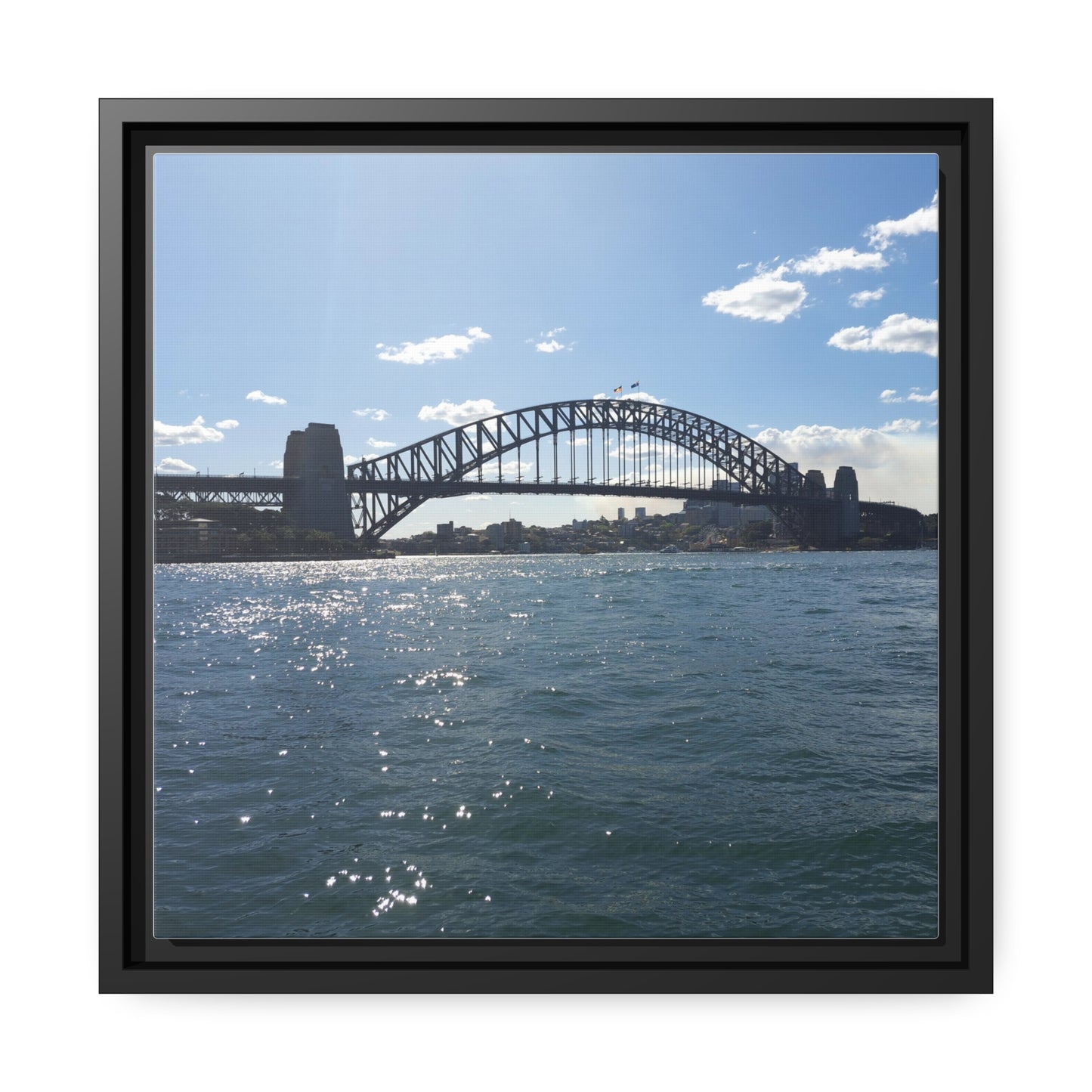 Sydney Harbour (framed canvas)