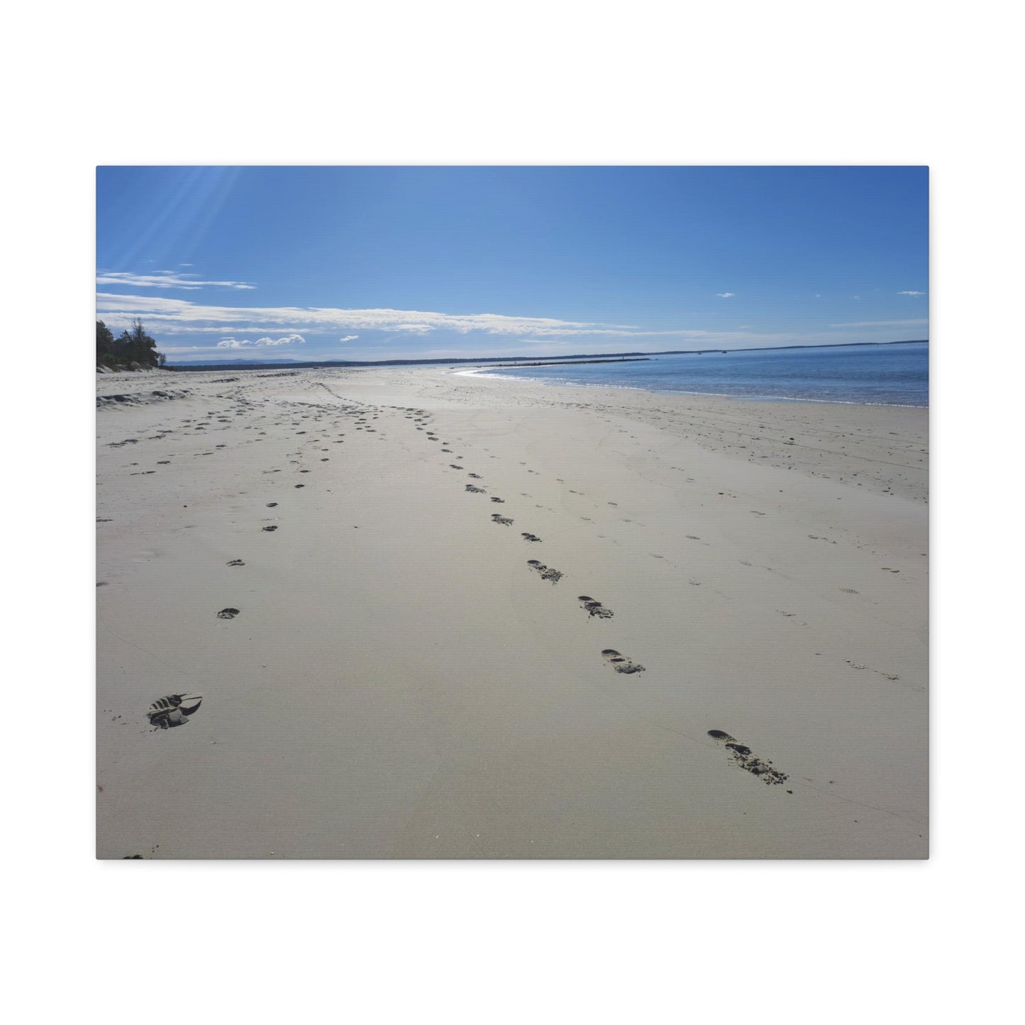 Footprint in the Sand (canvas)