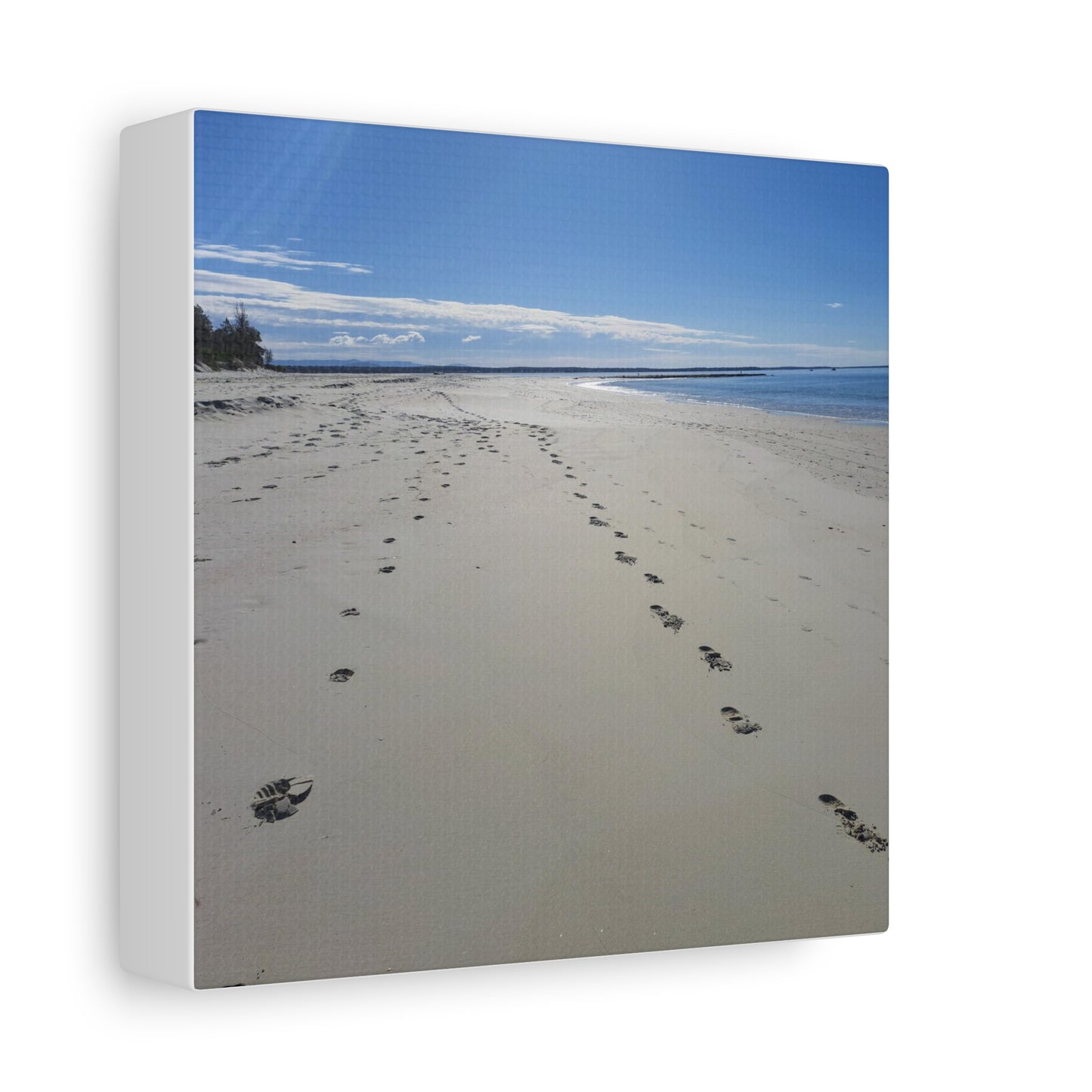 Footprint in the Sand (canvas)