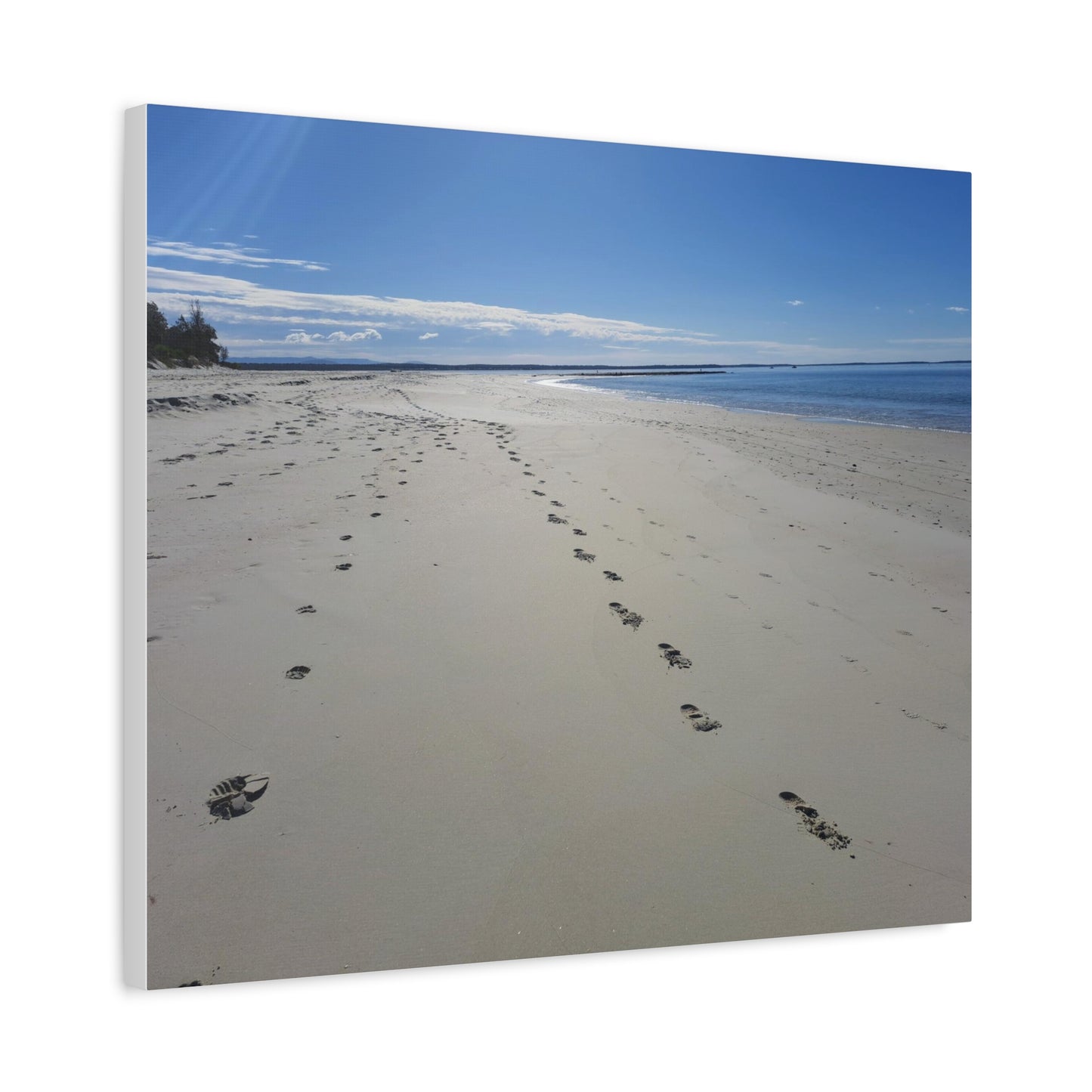 Footprint in the Sand (canvas)