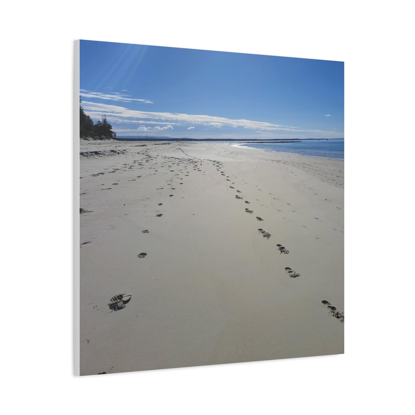 Footprints (canvas)