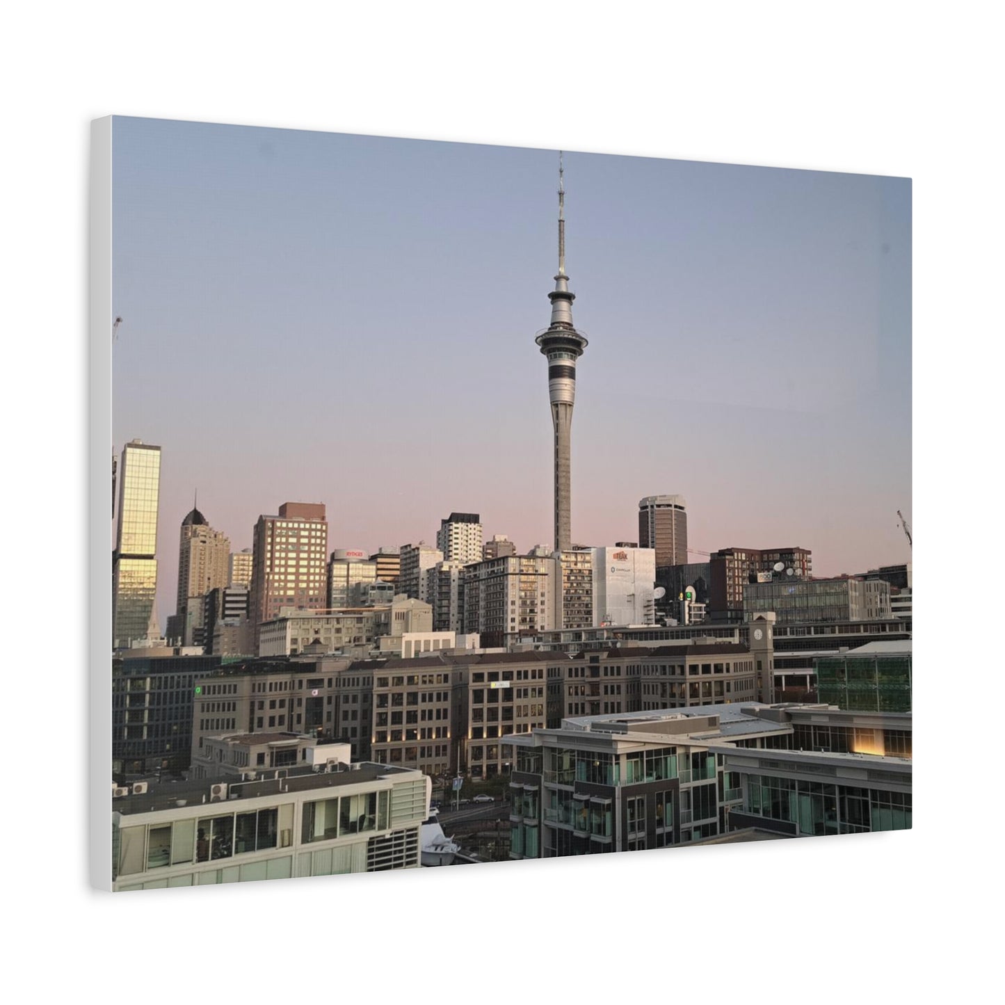 Auckland (canvas)