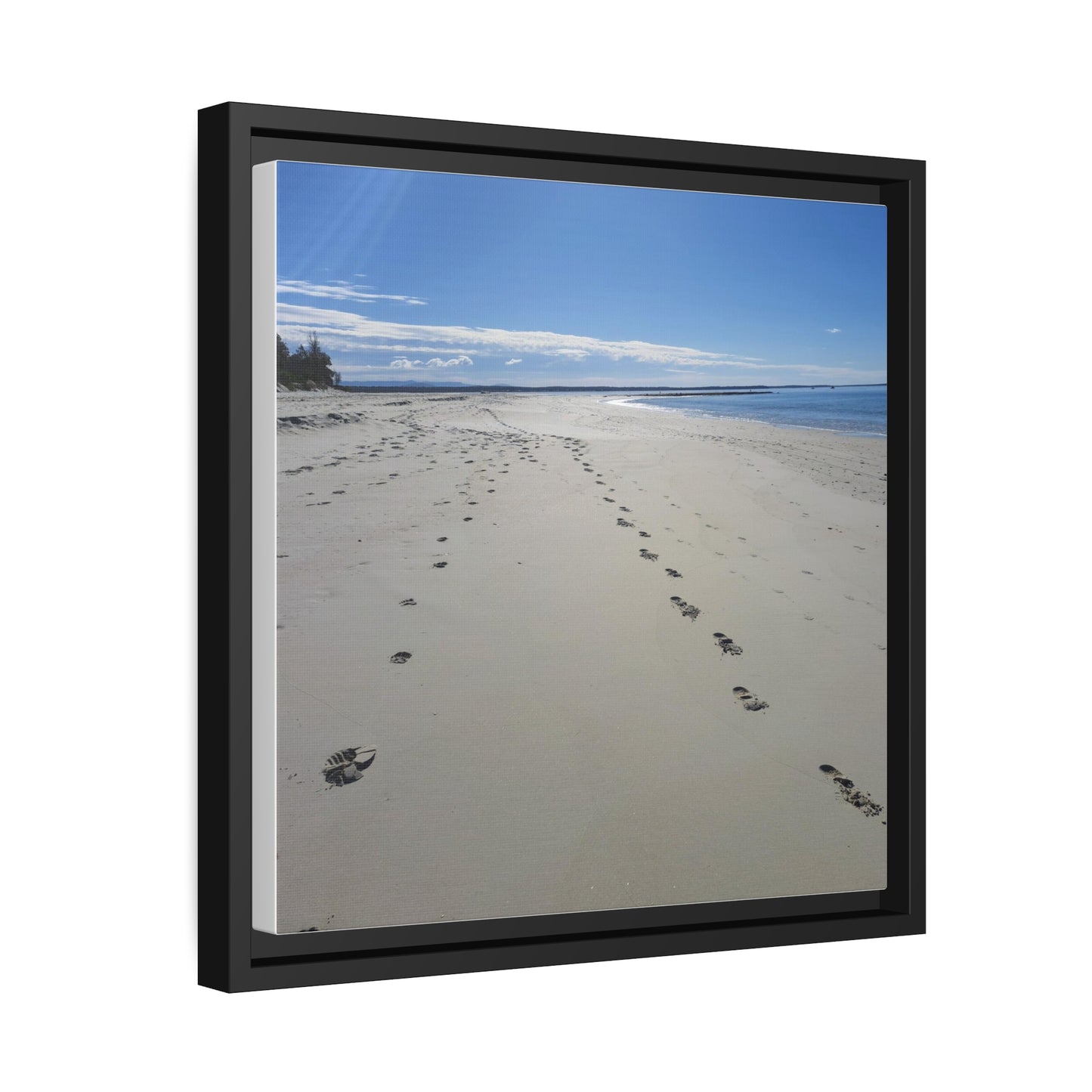 Footprints (framed canvas)