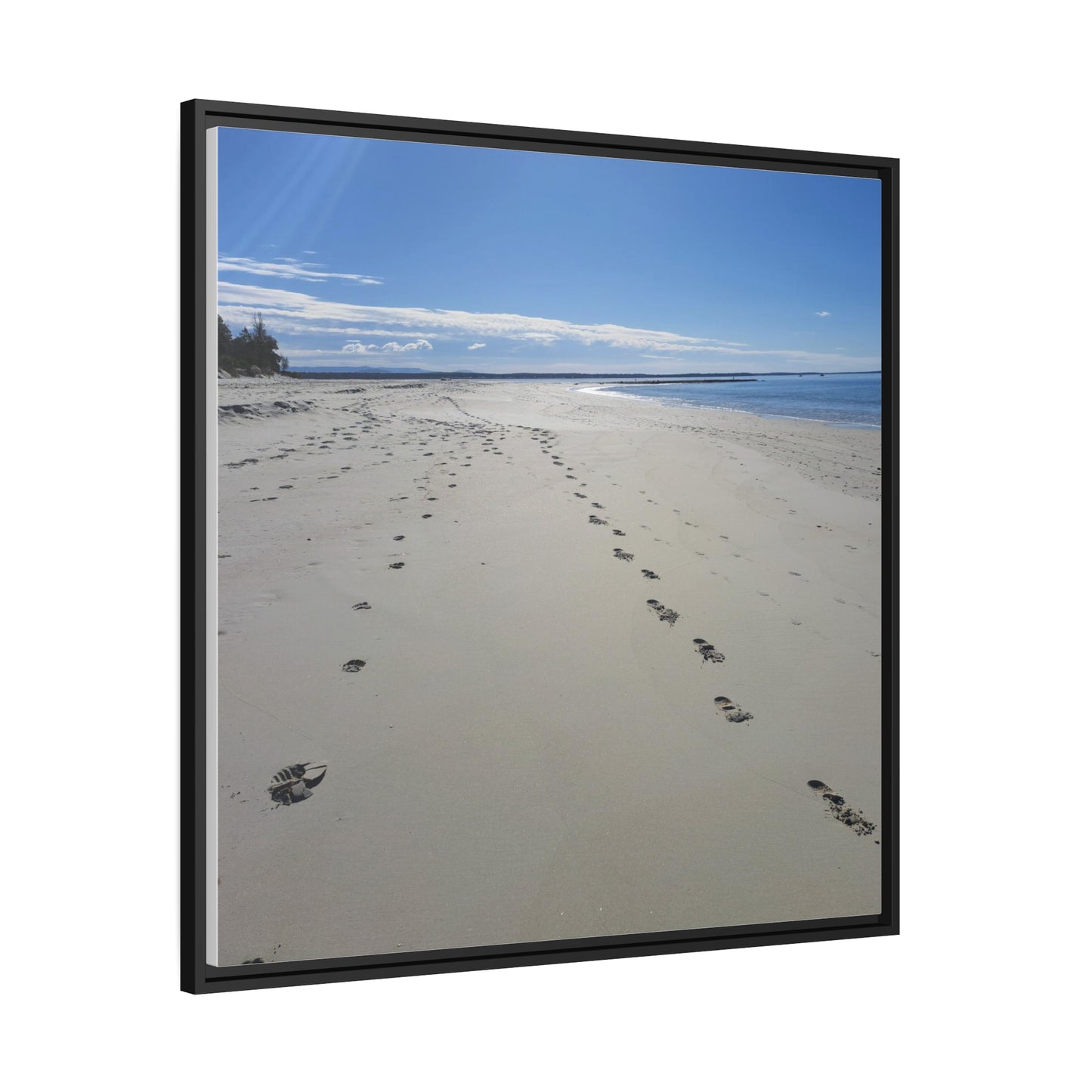 Footprints (framed canvas)