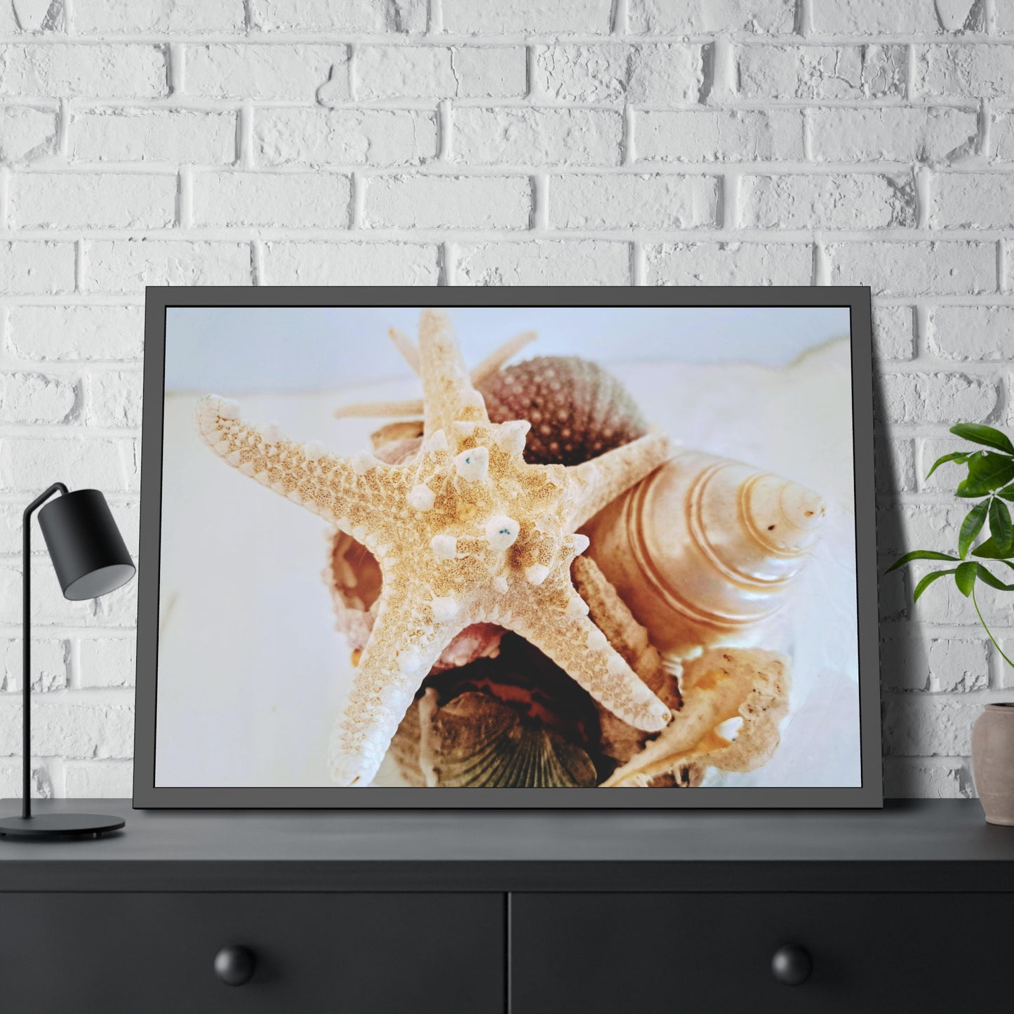 Shells 2 (framed print)