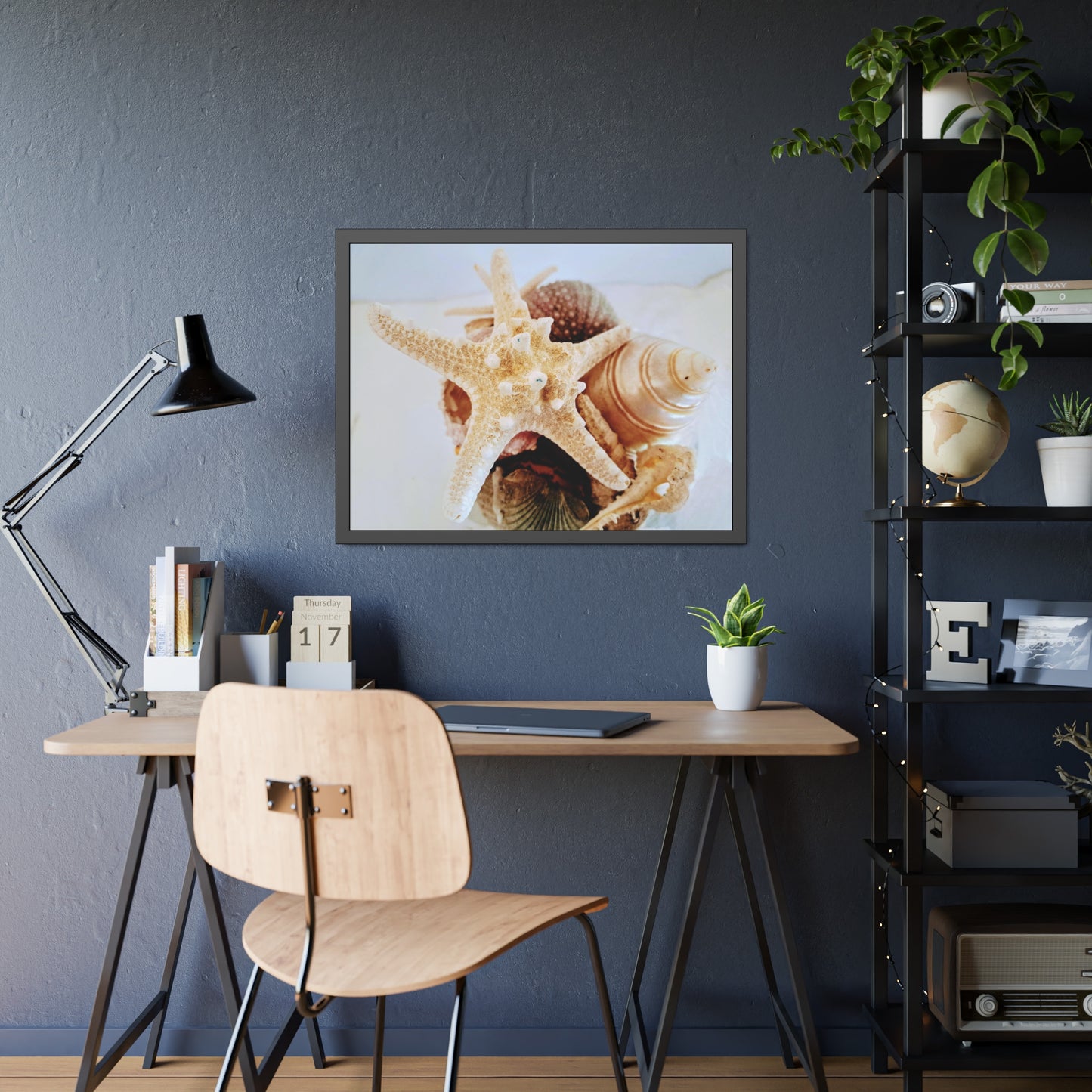 Shells 2 (framed print)