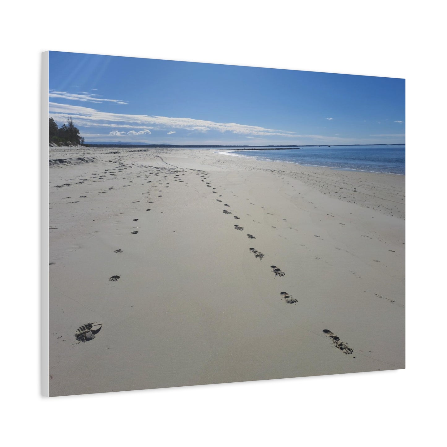 Footprint in the Sand (canvas)