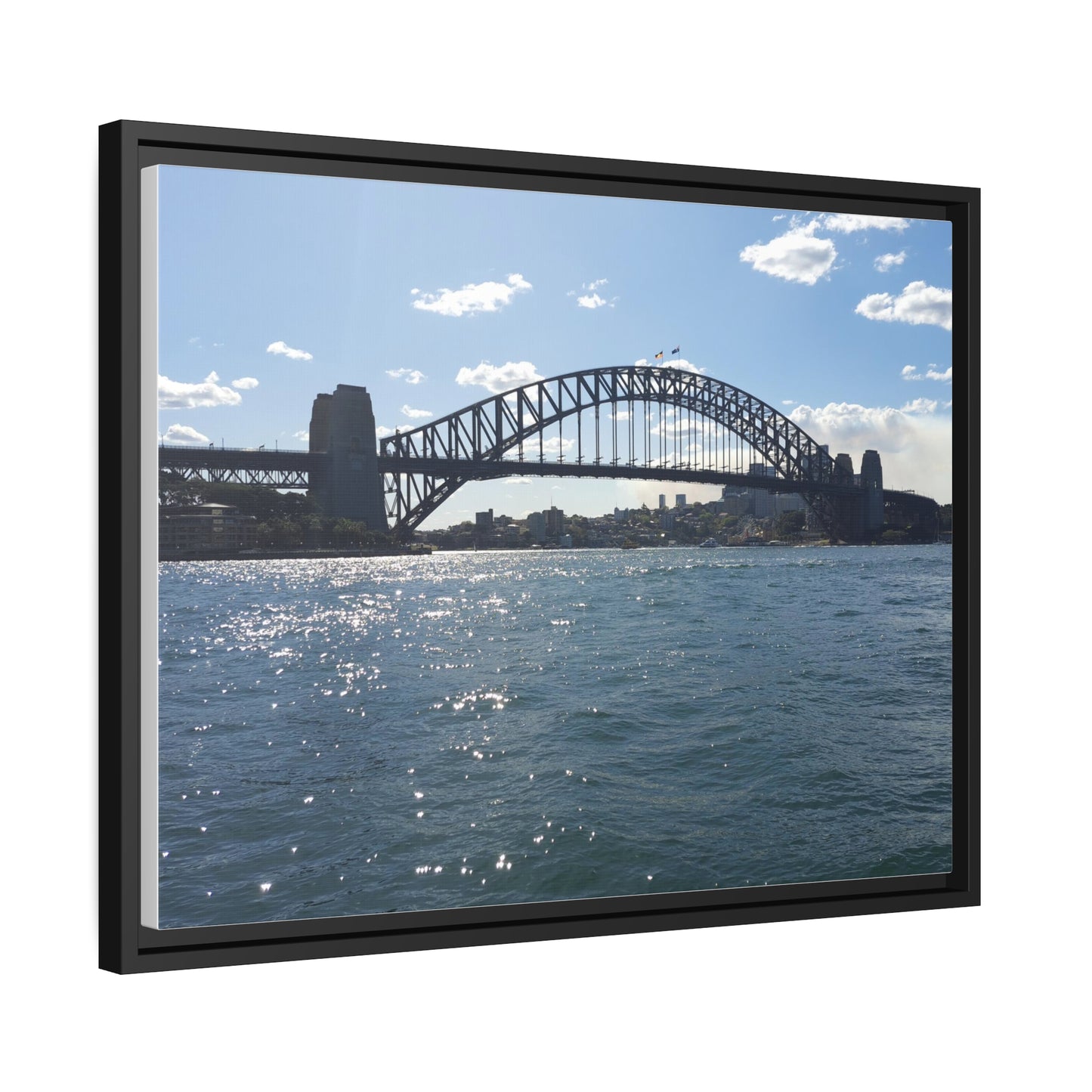 Sydney Harbour (framed canvas)