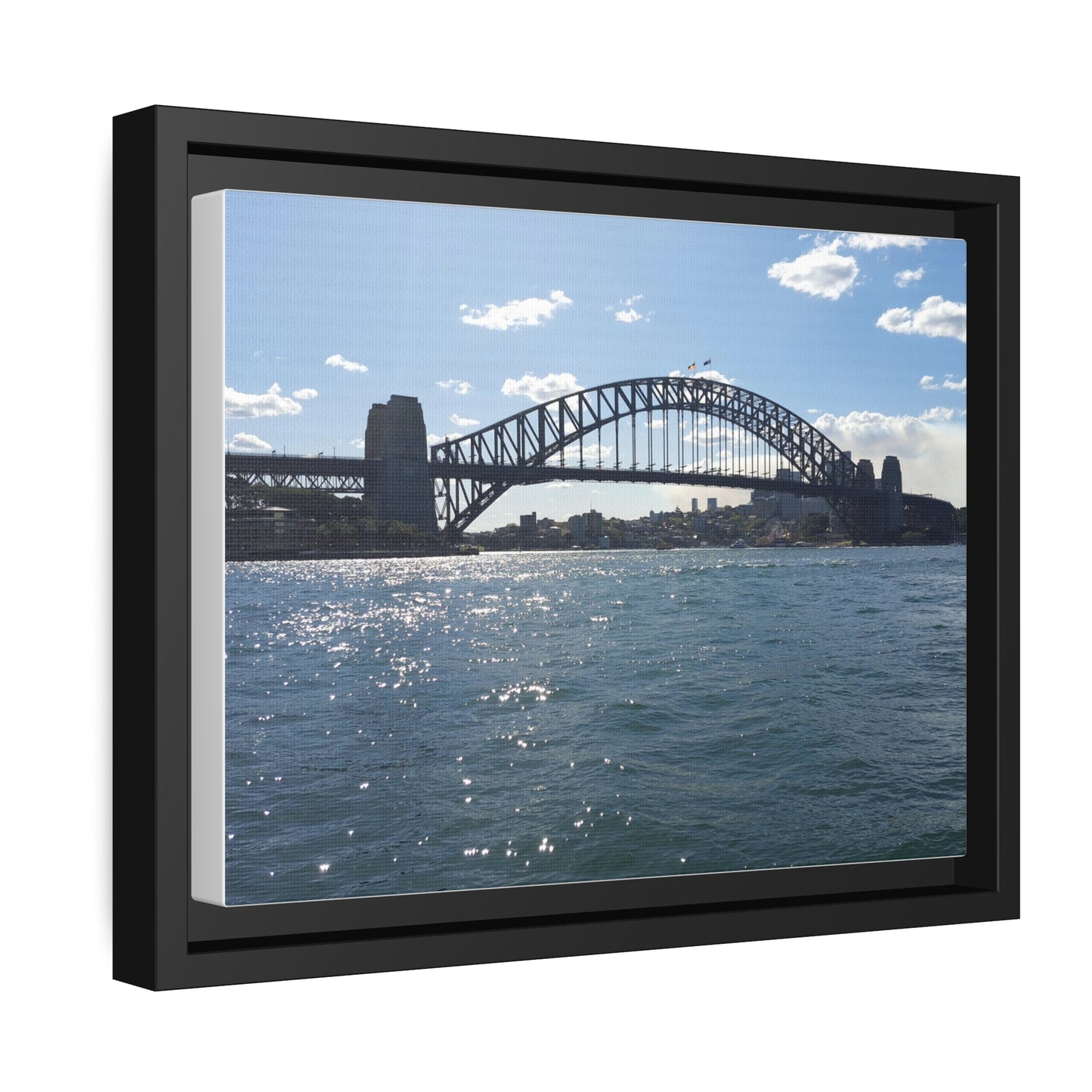 Sydney Harbour (framed canvas)