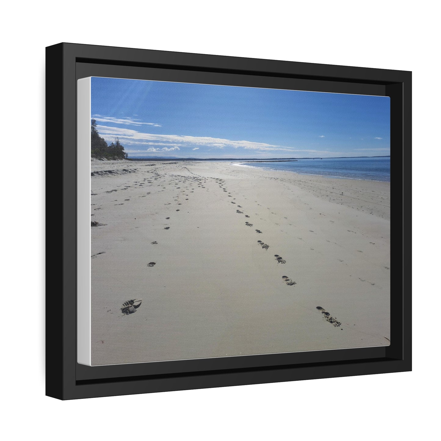 Footprints (framed canvas)