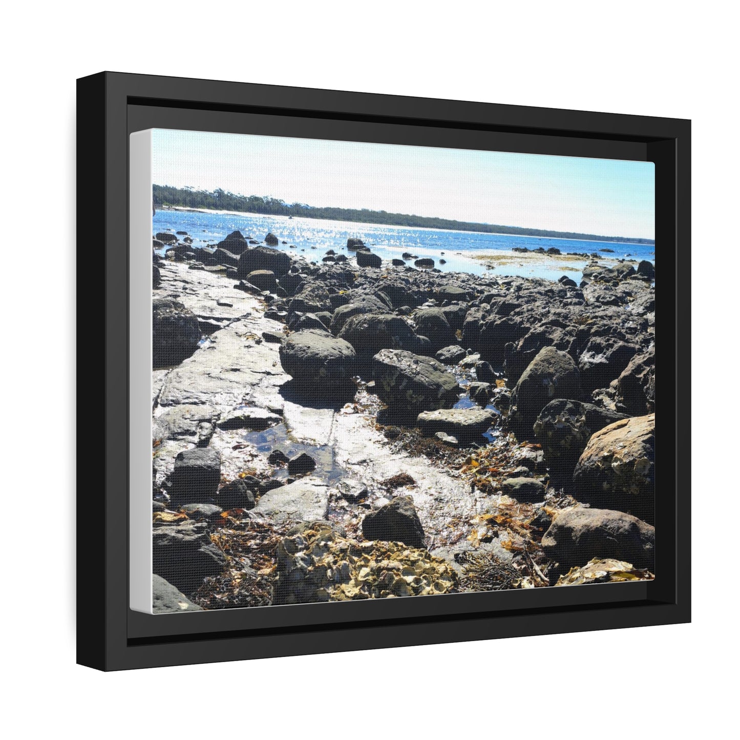 South Coast (framed canvas)