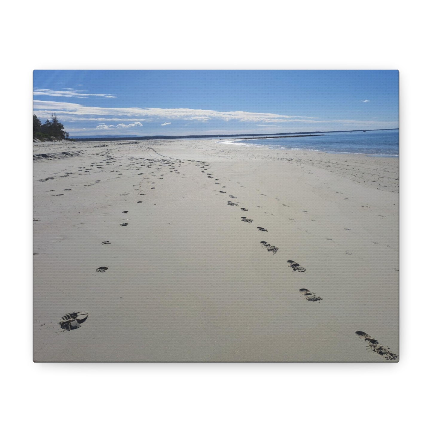 Footprint in the Sand (canvas)