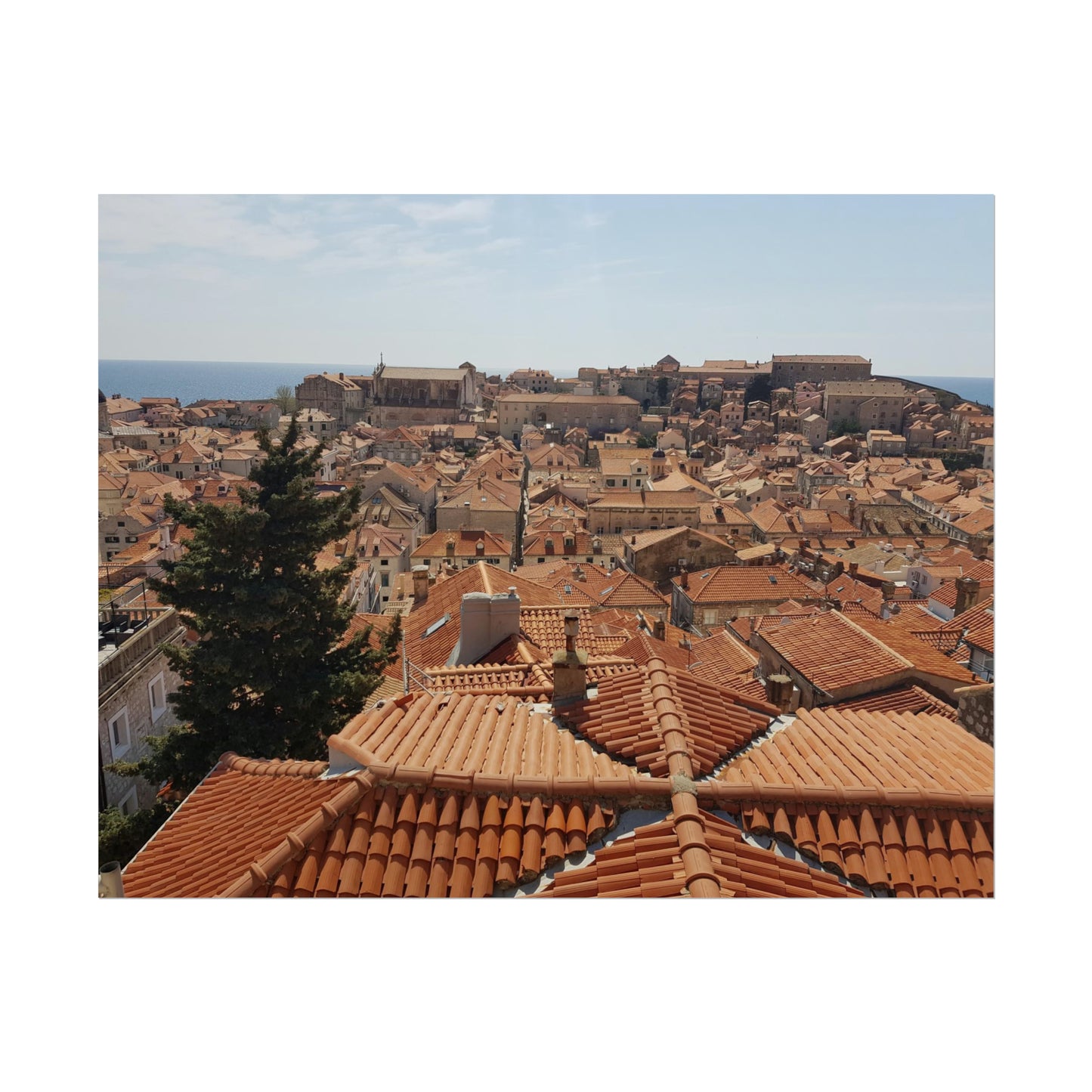 Roofs (print)