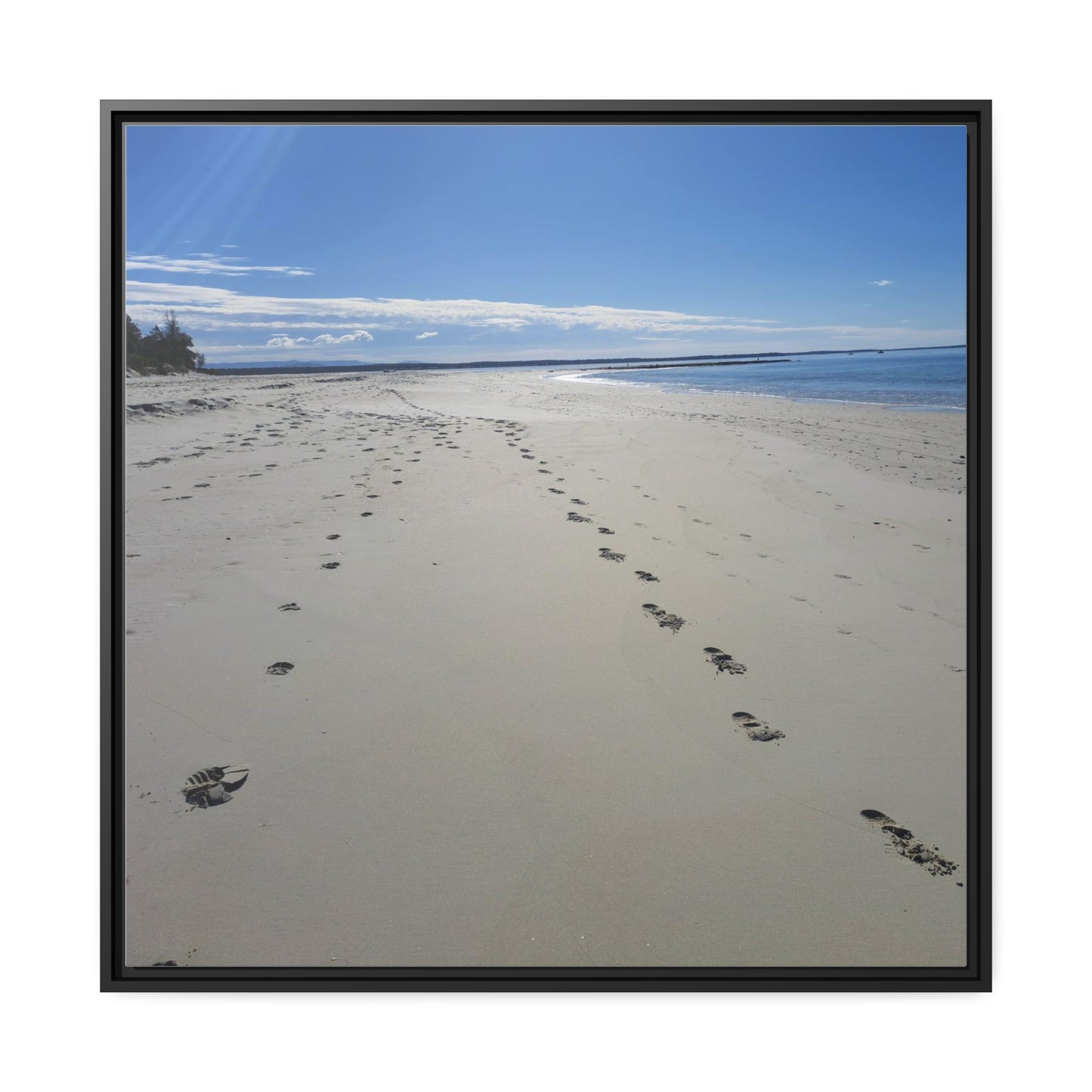 Footprints (framed canvas)