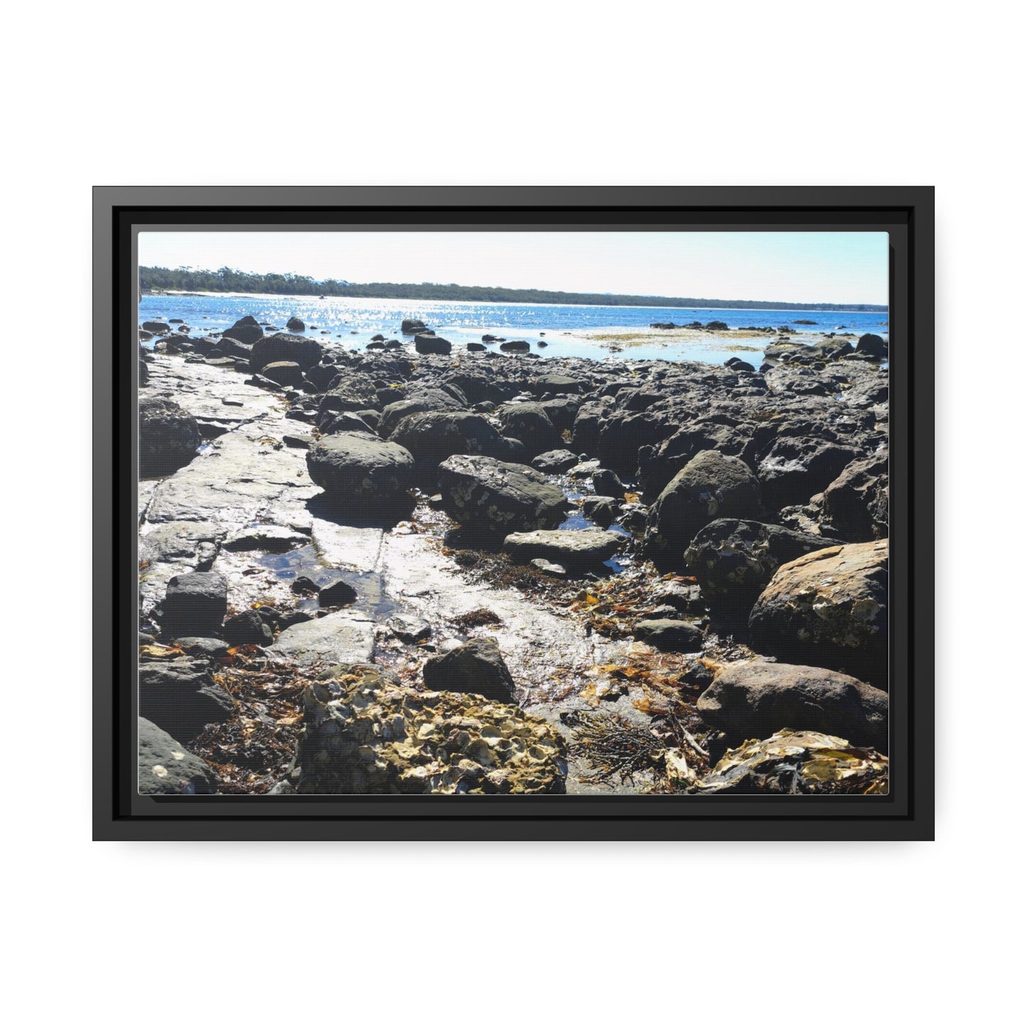 South Coast (framed canvas)