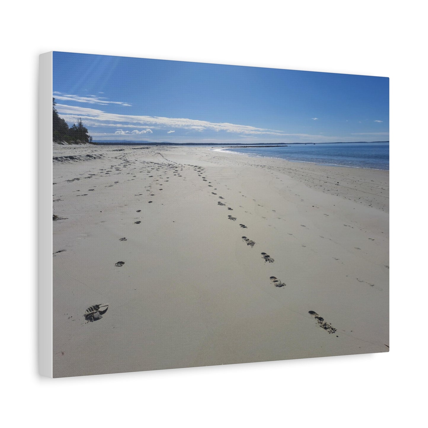 Footprints (canvas)