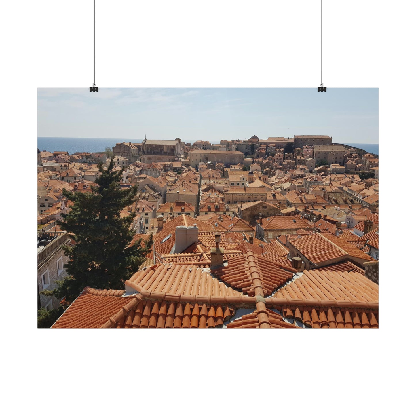 Roofs (print)