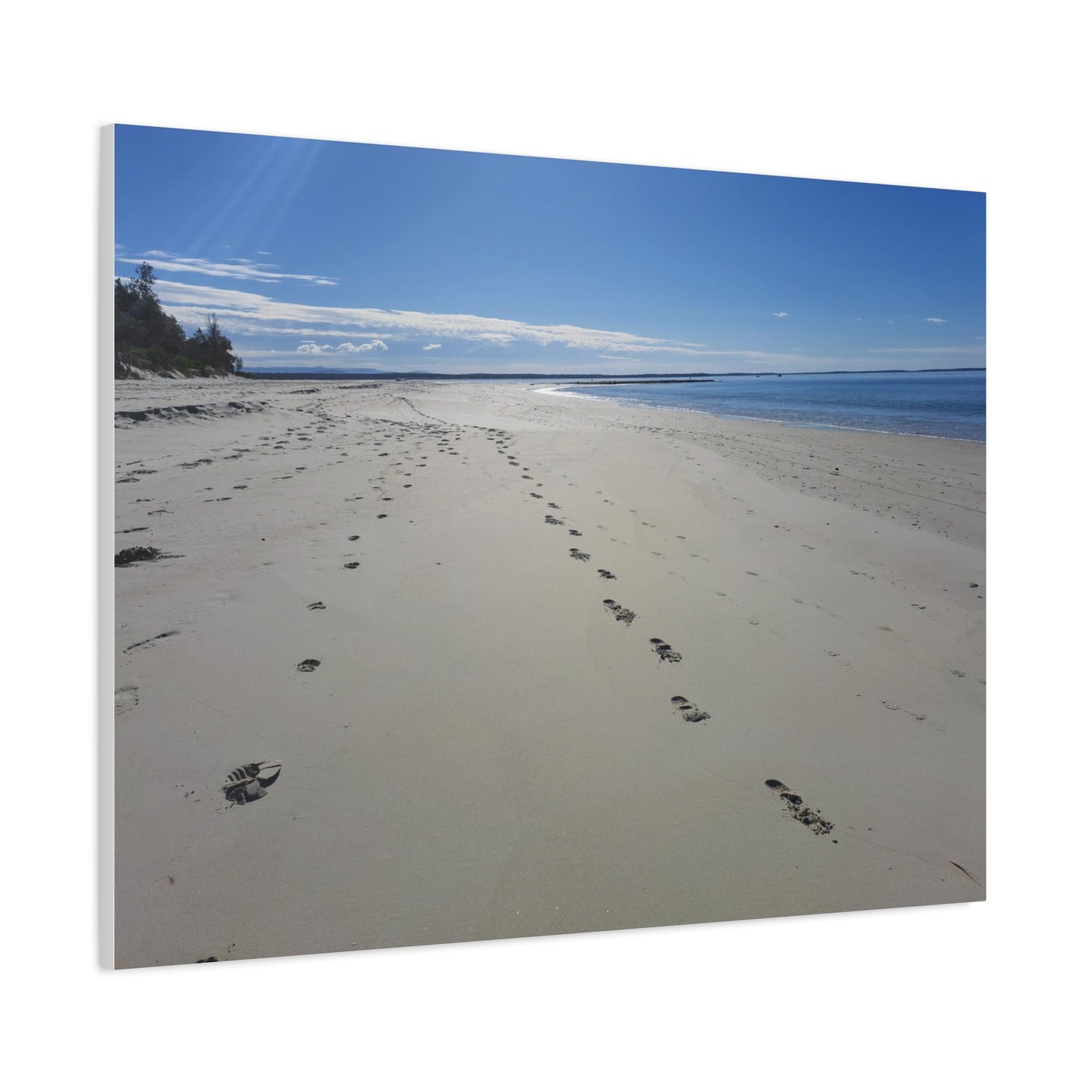 Footprint in the Sand (canvas)